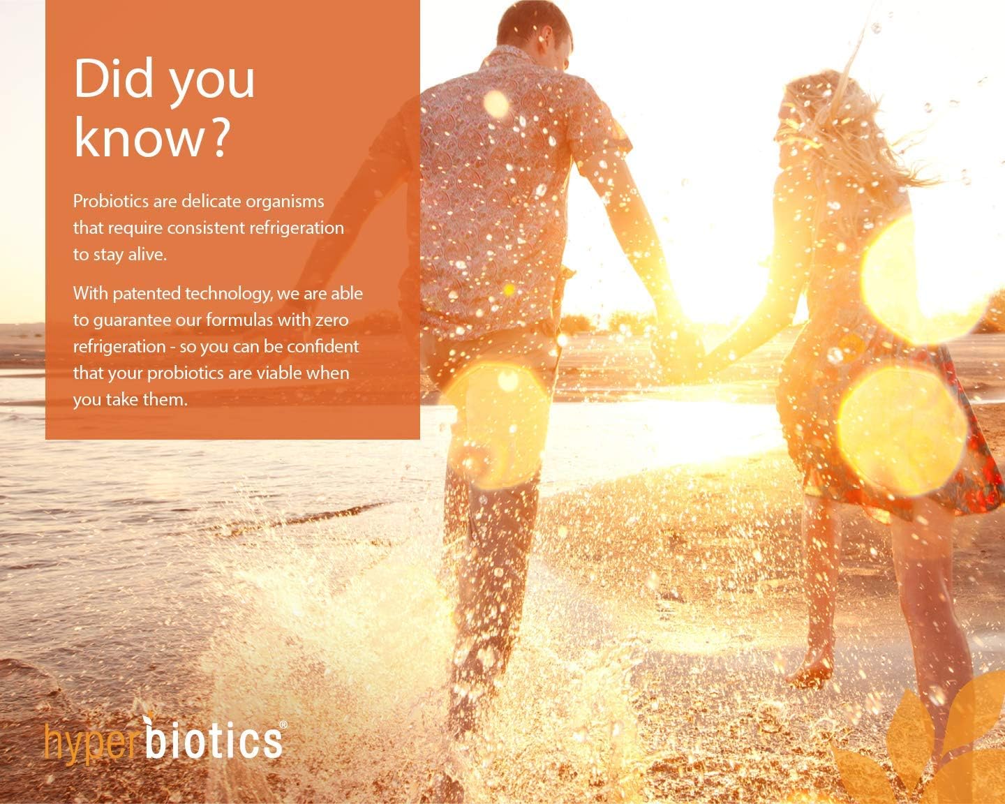 Vegan Probiotic Supplement for Leaky Gut | Supports Intestinal Barrier Health | Reduces Digestive Discomfort | Shelf-Stable | 60 Count