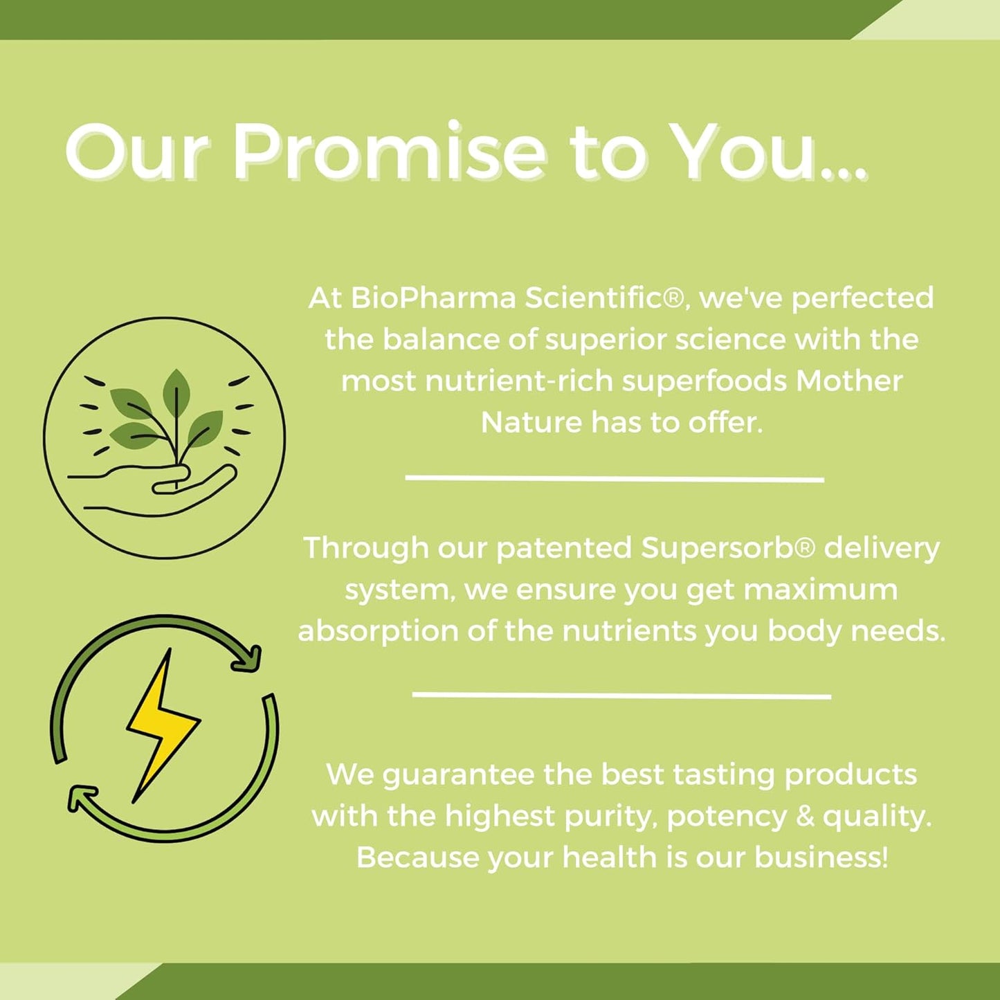 Vegan Protein Powder with Pea Protein, Ashwagandha, and Vegan D3 for Immune Support & Recovery, Vanilla Toffee Flavor