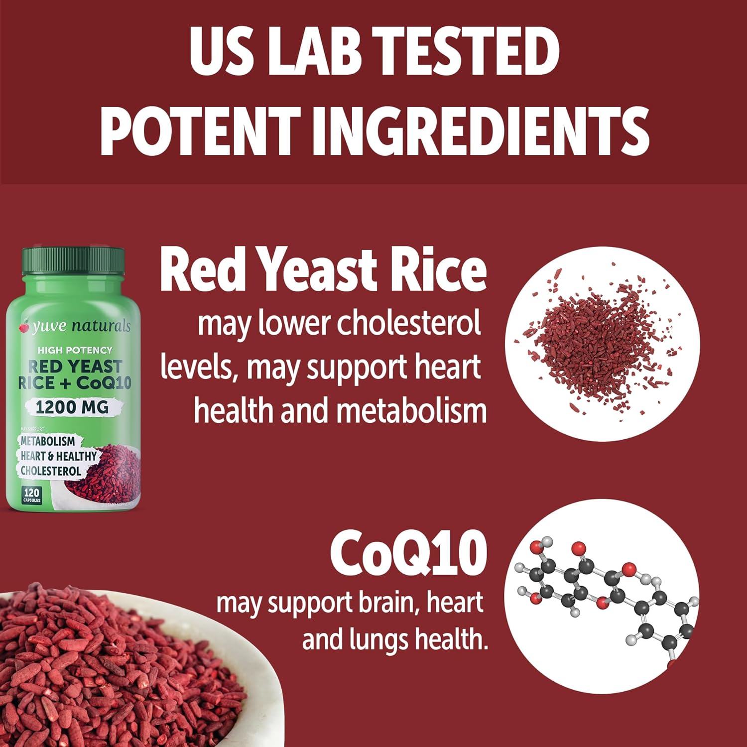 Vegan Red Yeast Rice Capsules with CoQ10 - Support Heart Health & Cholesterol Levels - 240 Ct (2-Pack)
