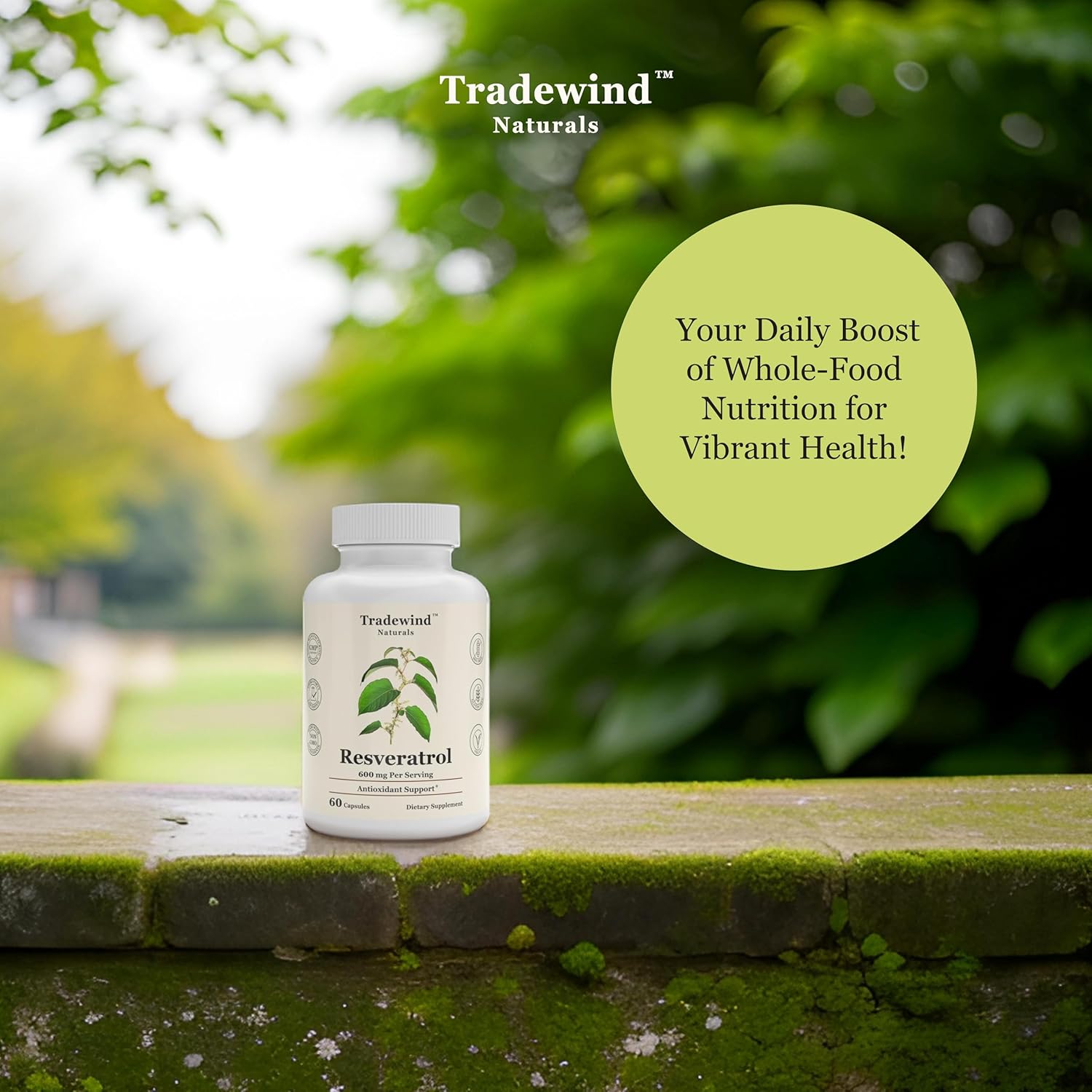 Vegan Resveratrol Supplement 600mg - Non-GMO Antioxidant Capsules for Healthy Aging and Cardiovascular Support - Polygonum cuspidatum - 60 Veg Caps