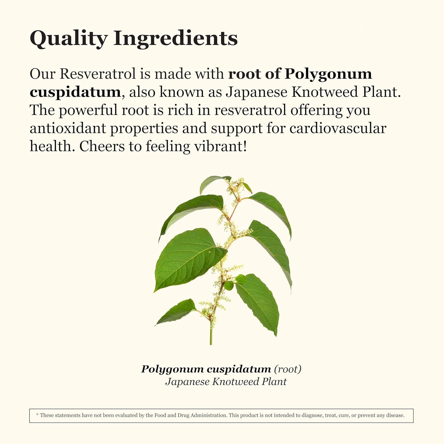 Vegan Resveratrol Supplement 600mg - Non-GMO Antioxidant Capsules for Healthy Aging and Cardiovascular Support - Polygonum cuspidatum - 60 Veg Caps