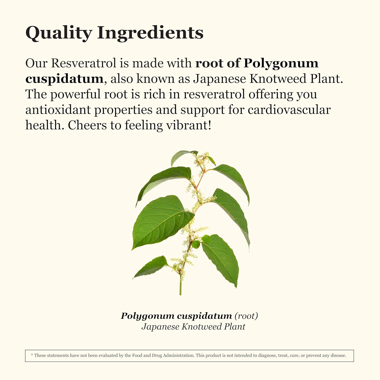 Vegan Resveratrol Supplement 600mg - Non-GMO Antioxidant Capsules for Healthy Aging and Cardiovascular Support - Polygonum cuspidatum - 60 Veg Caps