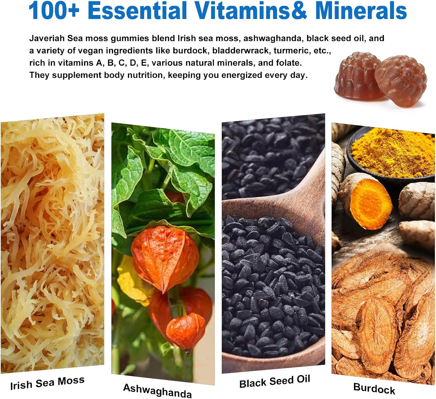 Vegan Sea Moss Gummies with Black Seed Oil, Ashwagandha, Vitamin C&D - 13-in-1 Bundle for Immune Support & Antioxidant - 60 Gummies