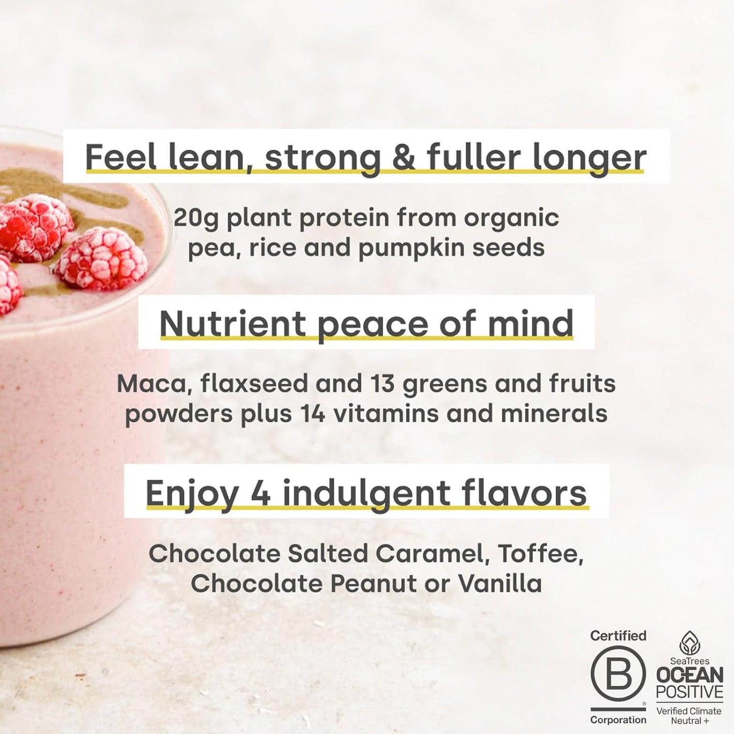 Vegan Superblend Protein Powder with Superfoods, Vitamins, Minerals - 20g Plant Based Protein (Chocolate Peanut)