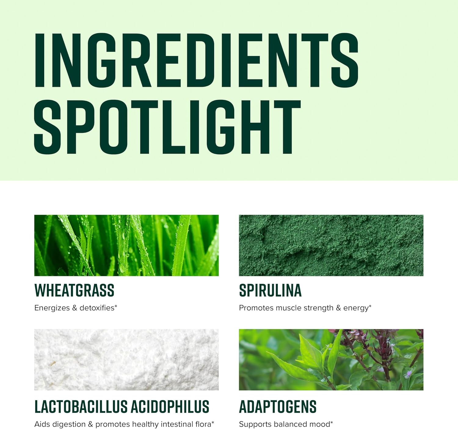 Vegan Superfood Powder - Green Vibrance for Vibrant Health, 15 Servings