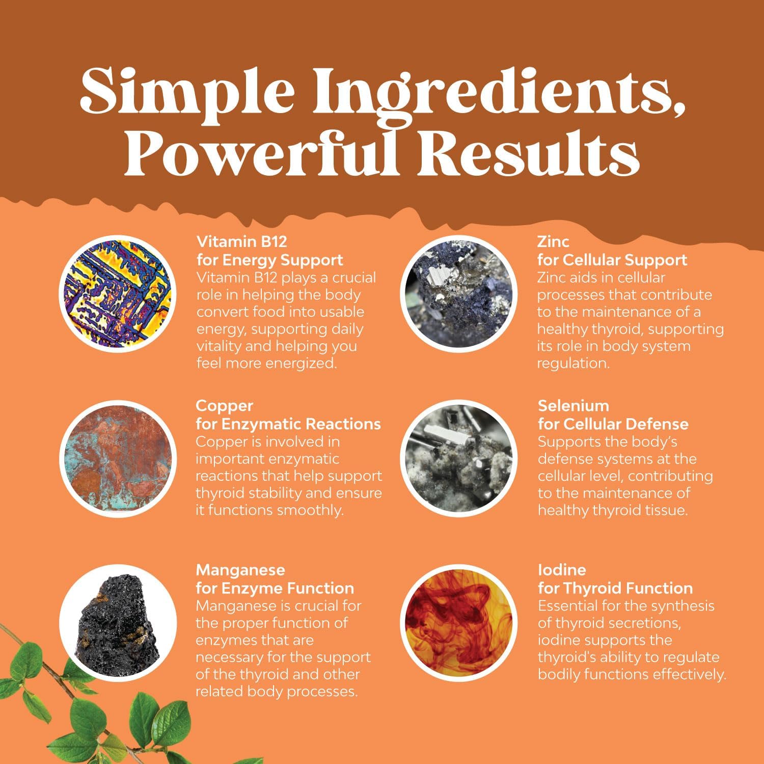 Vegan Thyroid Support Gummies with Sea Moss - Potent Vitamins for Men and Women - Gelatin-Free and Non-GMO - 60 Gummies