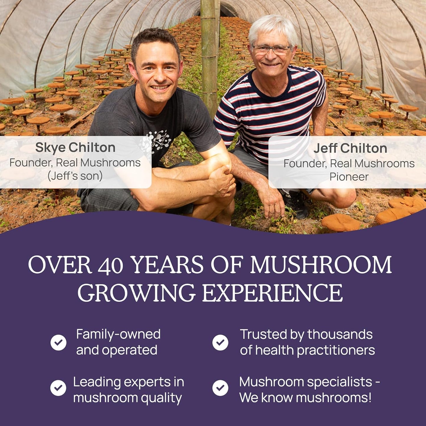 Vegan Zinc Supplements with Chaga Reishi for Immune Support - 120ct Vitamin D2 Capsules