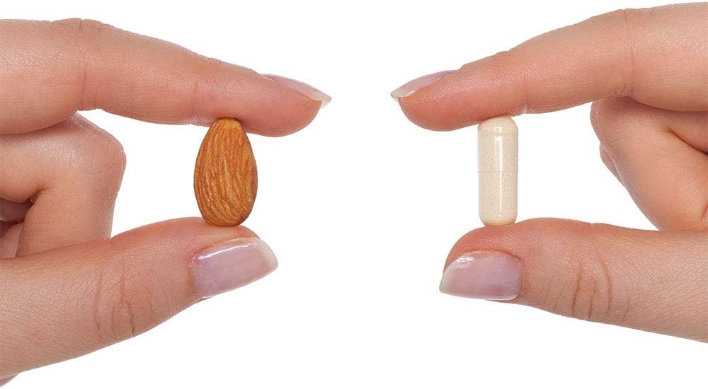 Vegetarian Digestive Enzyme Supplement for Healthy Digestion - 120 Capsules - Support Nutrient Absorption & Digestive System Health