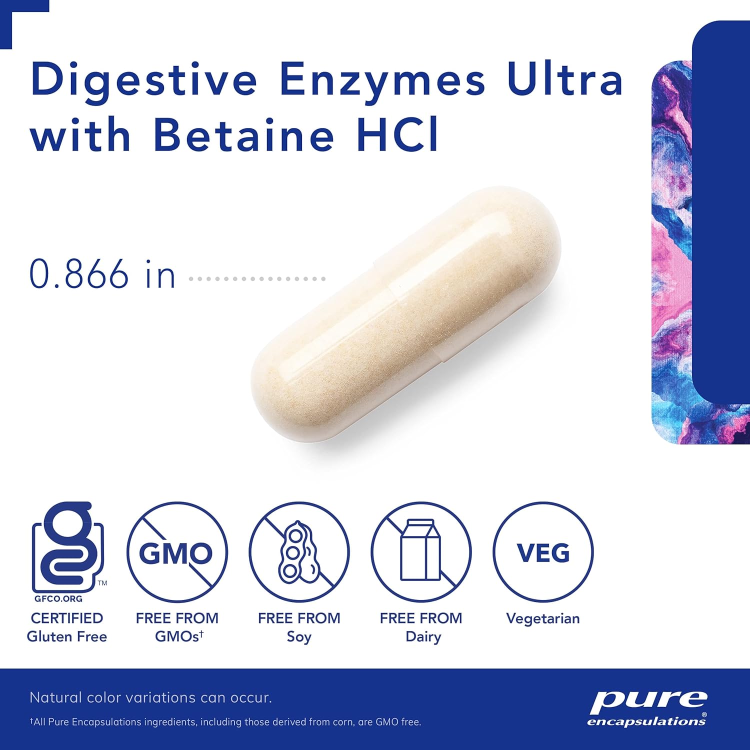 Vegetarian Digestive Enzyme Supplement with Betaine HCl for Protein, Carb, Fiber, and Dairy Digestion - 180 Capsules by Pure Encapsulations