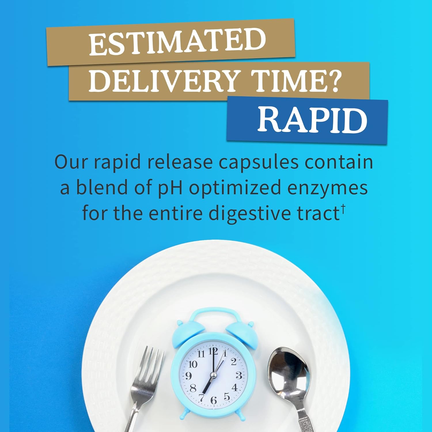 Vegetarian Digestive Supplement for Digestion, Bloating, Gas, IBS - Garden of Life Omega Zyme Ultra Enzyme Blend, 180 Capsules