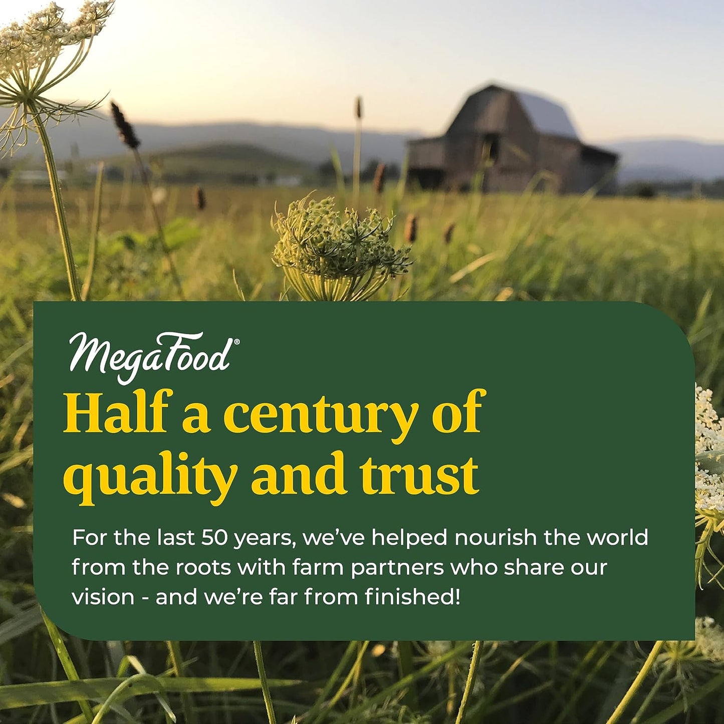 Vegetarian Grape-Flavor Magnesium Soft Chews for Heart Health & Muscle Tension - MegaFood Relax + Calm Supplement - 30 Chews