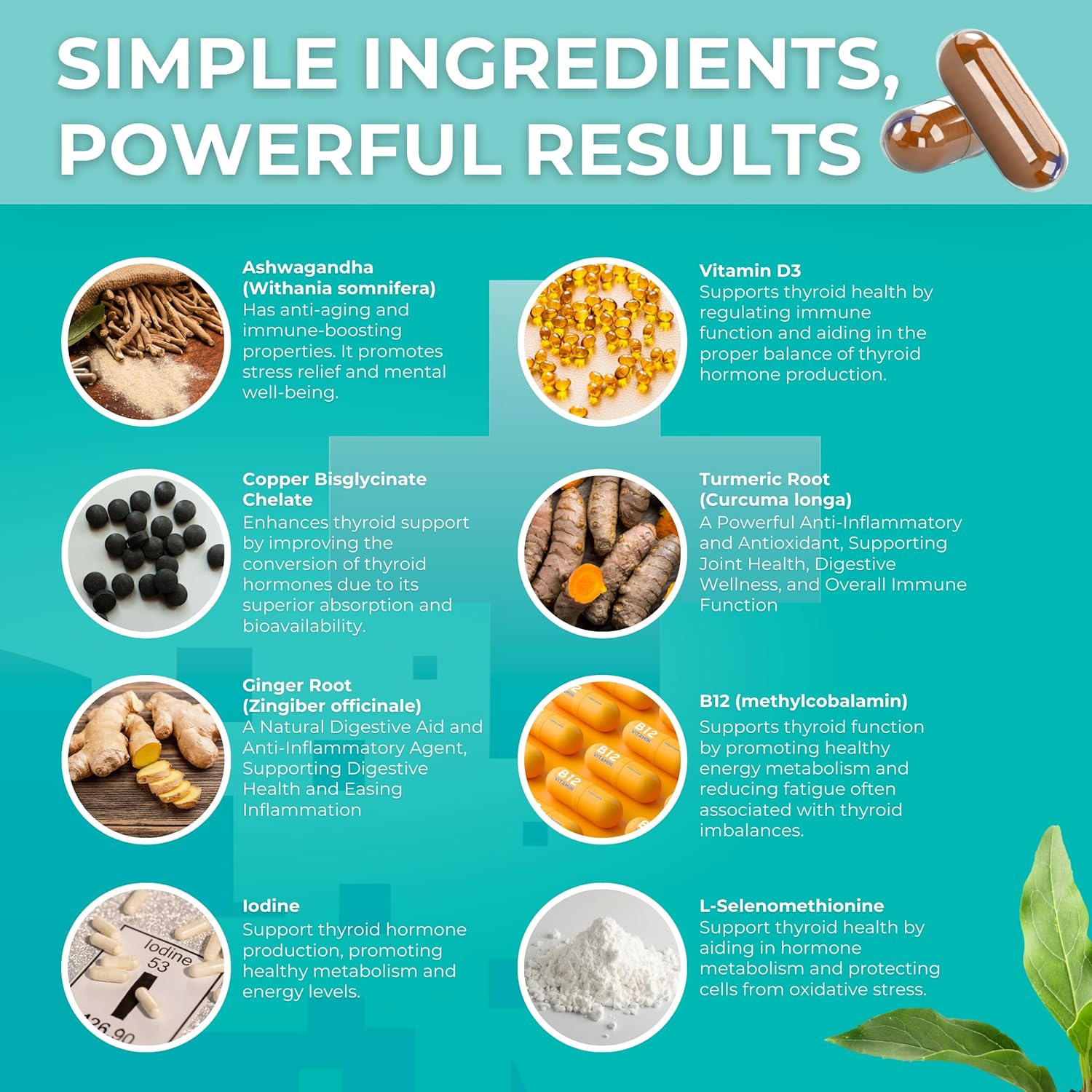 Vegetarian Thyroid Support Supplement with Iodine, Vitamin D3, B12 & Ashwagandha for Energy & Focus - Non-GMO Formula