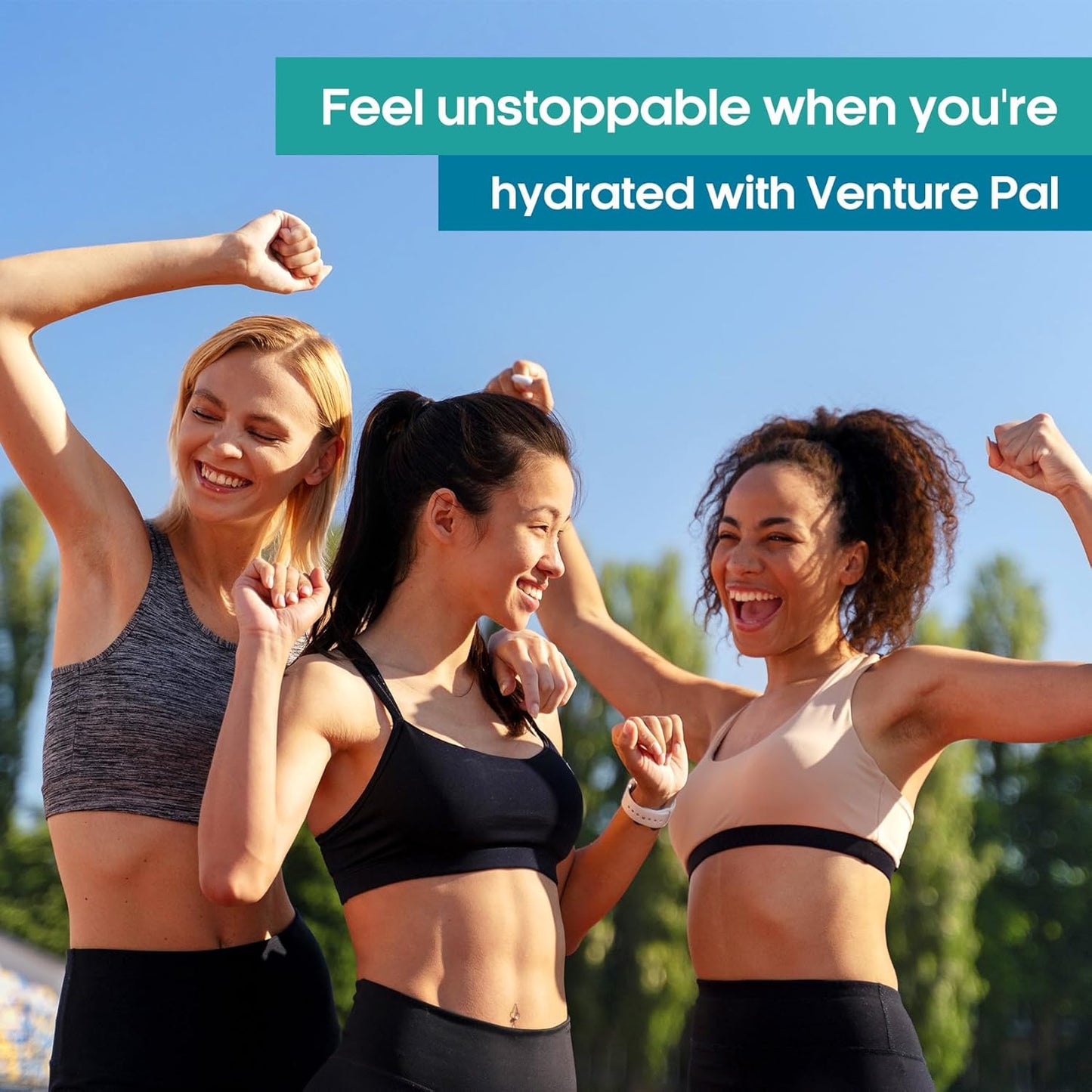 Venture Pal Electrolyte Powder Packets - Sugar-Free Daily Hydration Drink Mix with Vitamins & Electrolytes for Rapid Recovery | Keto & Vegan Friendly | Non-GMO | 16 Sticks