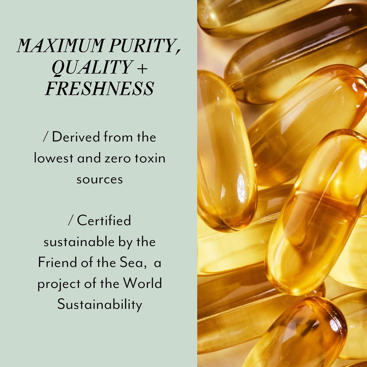 Veracity Omega 3 Super+ Supplements for Whole-Body Wellness - EPA, DHA, DPA Fatty Acids - Reduces Inflammation, Brain Health, Metabolic Support