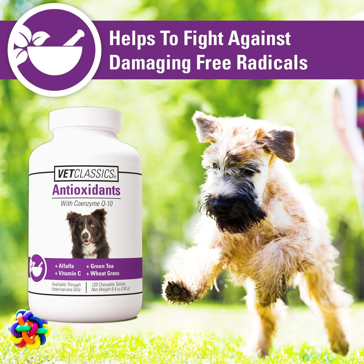 Vet Classics Antioxidants for Dogs with Coenzyme Q-10, Alfalfa, Green Tea, Vitamin C, & Wheat Grass - 120 Chewable Tablets