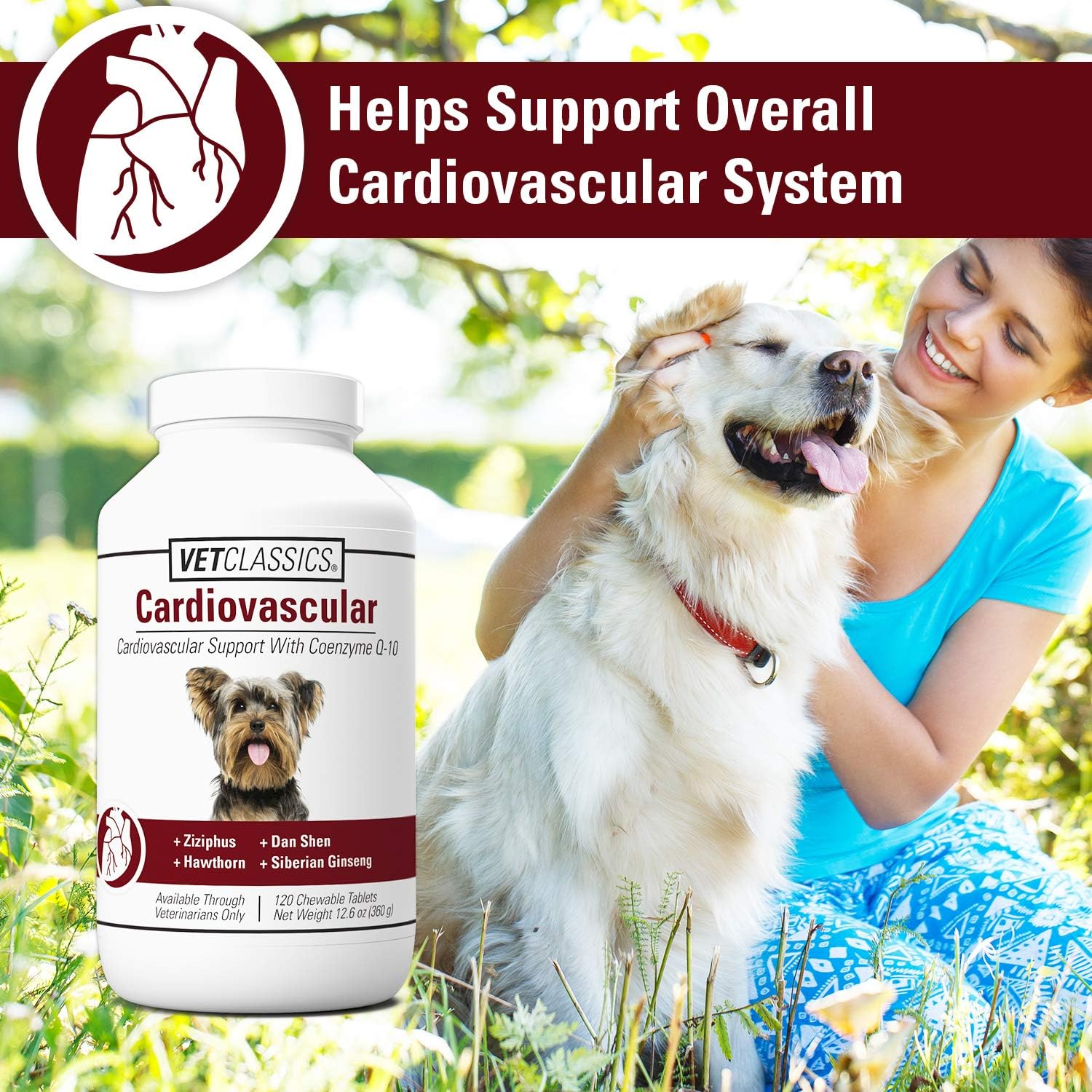 Vet Classics Cardiovascular Support for Dogs with Coenzyme Q-10 - 120 Chewable Tablets