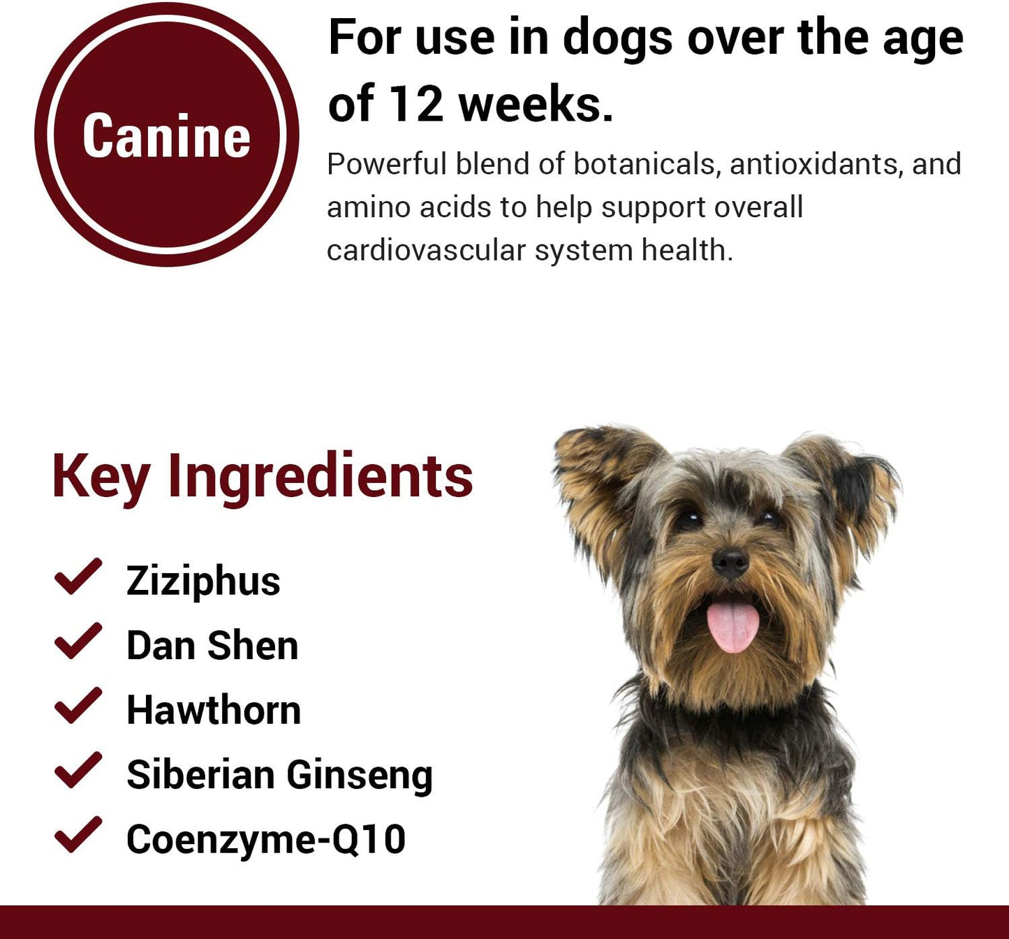 Vet Classics Cardiovascular Support for Dogs with Coenzyme Q-10 - 120 Chewable Tablets