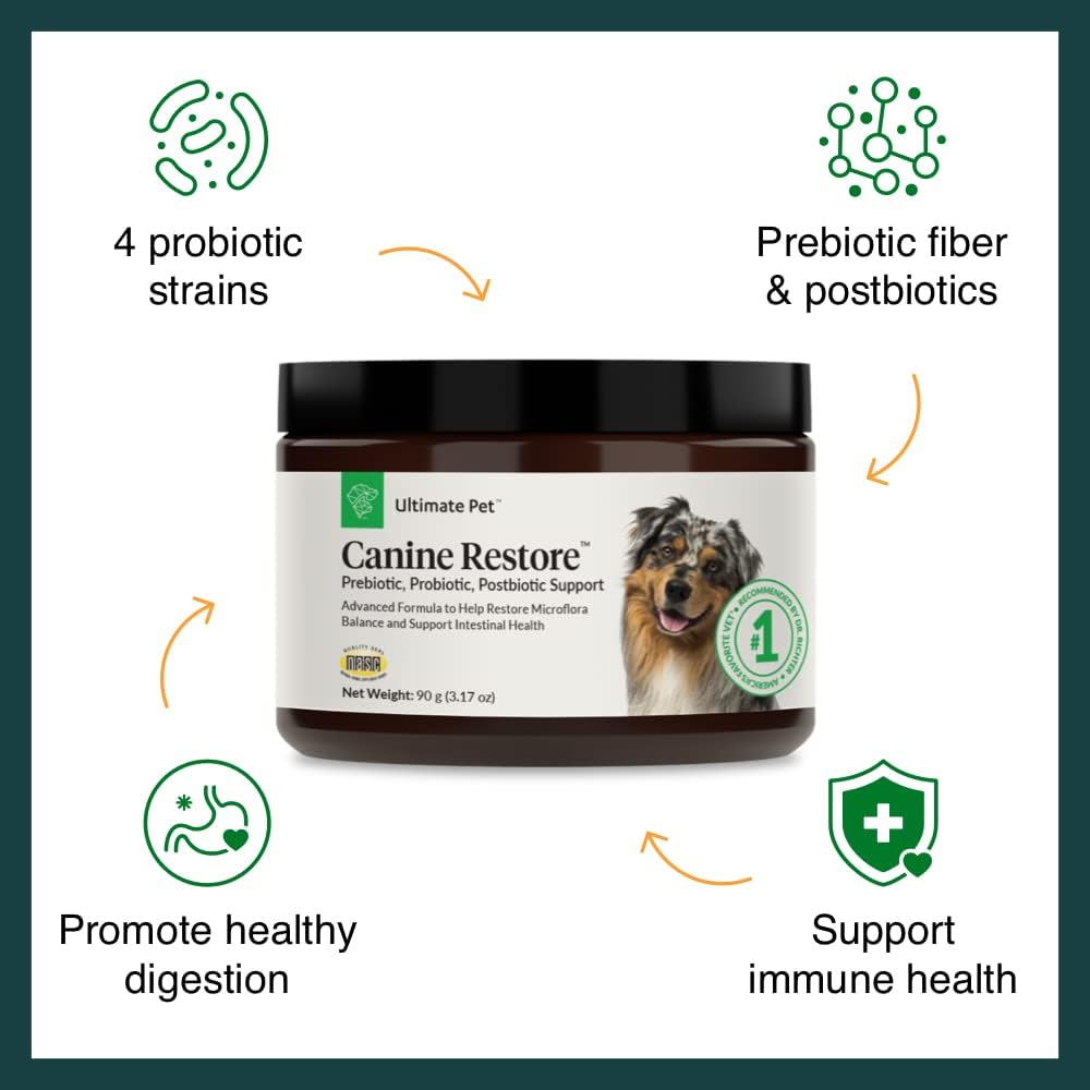 Vet Formulated Canine Restore Powder for Digestive Health and Immunity Support - Prebiotic, Probiotic, Postbiotic Food Topper