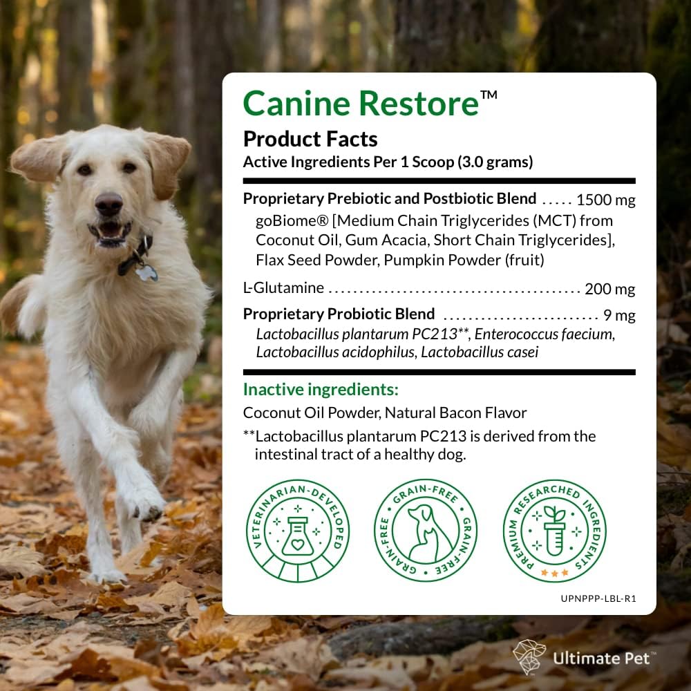 Vet Formulated Canine Restore Powder for Digestive Health and Immunity Support - Prebiotic, Probiotic, Postbiotic Food Topper