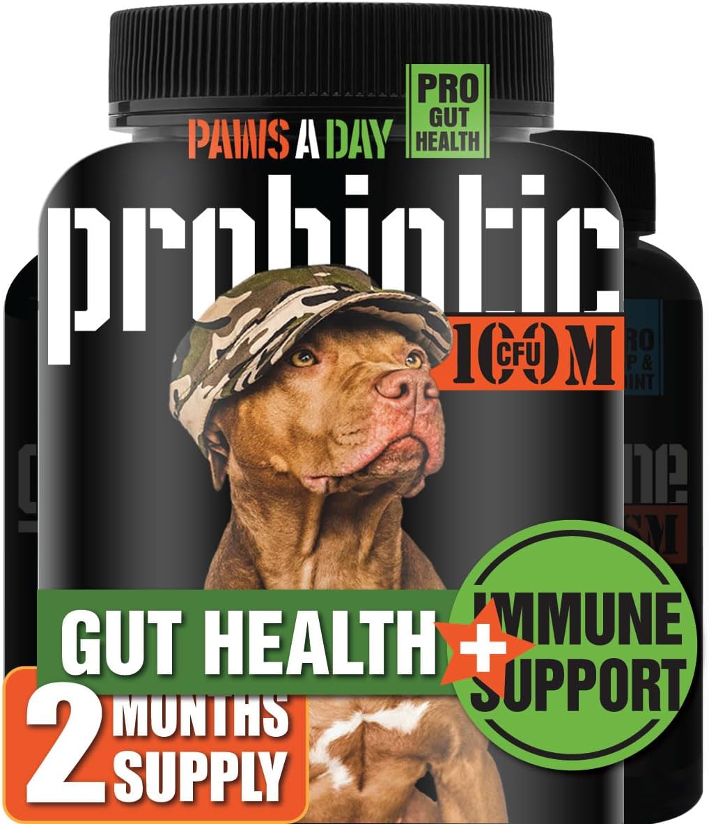 Veteran-Owned Canine Probiotics for Digestive Health & Immune Support - 60 Chewable Tablets for Dogs with Gut Issues & Occasional Diarrhea