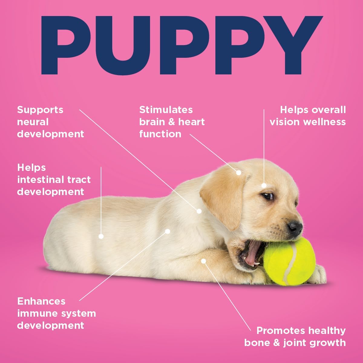 Vetericyn Puppy Supplement with Digestive Enzymes and Antioxidants - 90 Count