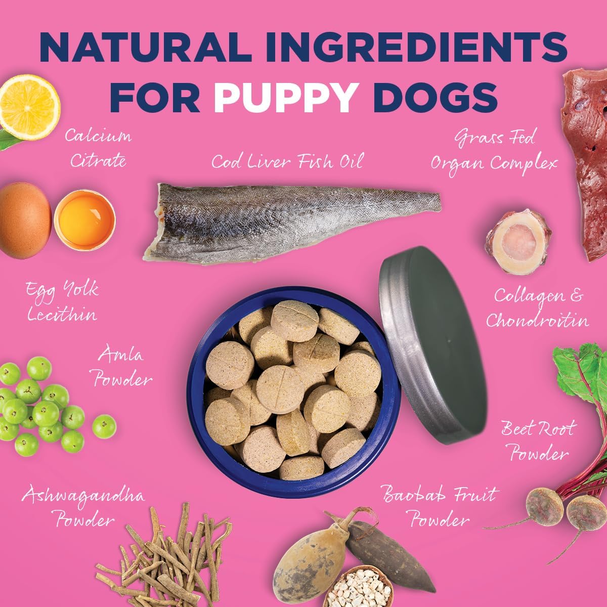 Vetericyn Puppy Supplement with Digestive Enzymes and Antioxidants - 90 Count