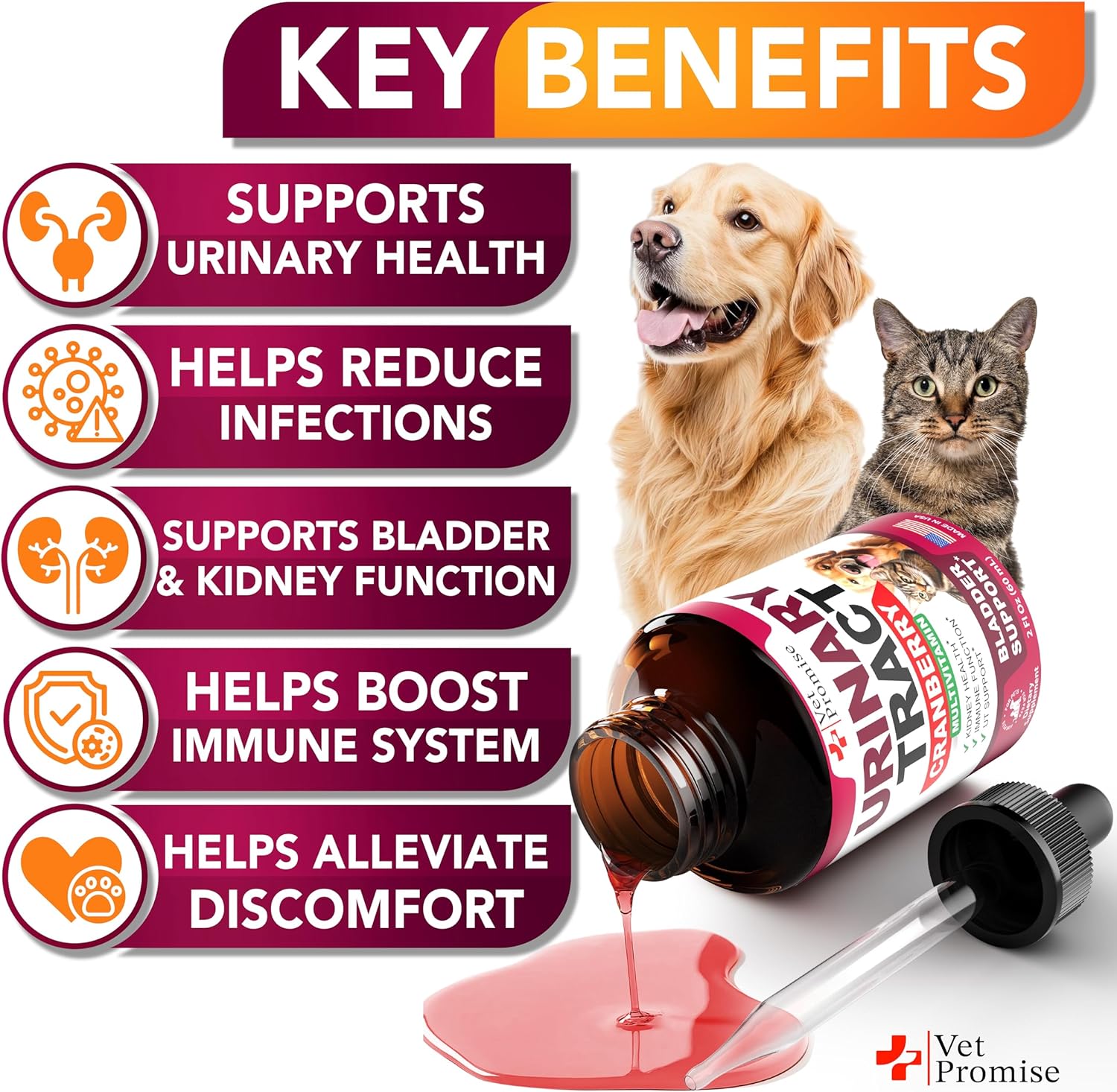 Veterinarian-Approved UTI Treatment for Cats & Dogs - Cranberry UTI Medicine - Kidney & Bladder Support - Renal Health Supplement - Made in USA