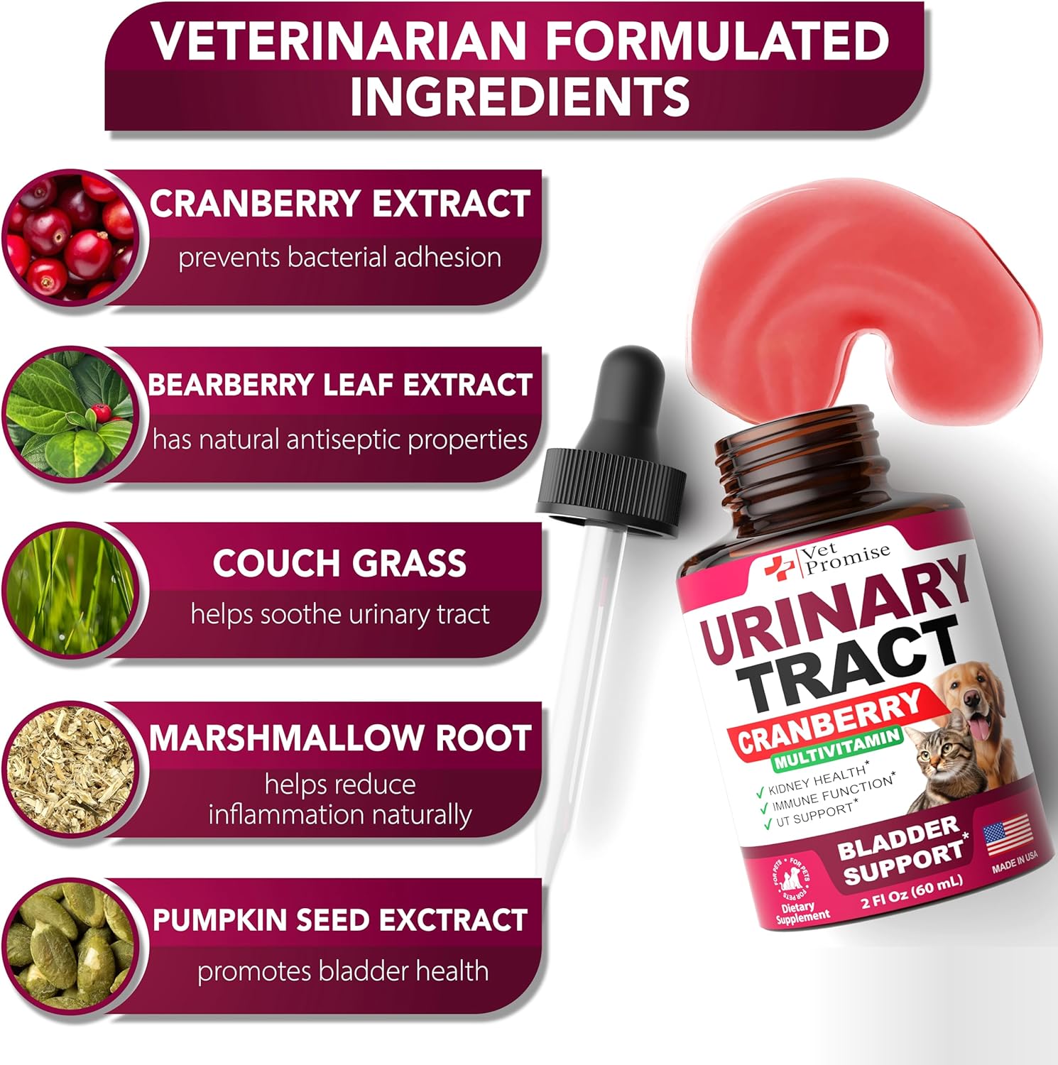 Veterinarian-Approved UTI Treatment for Cats & Dogs - Cranberry UTI Medicine - Kidney & Bladder Support - Renal Health Supplement - Made in USA