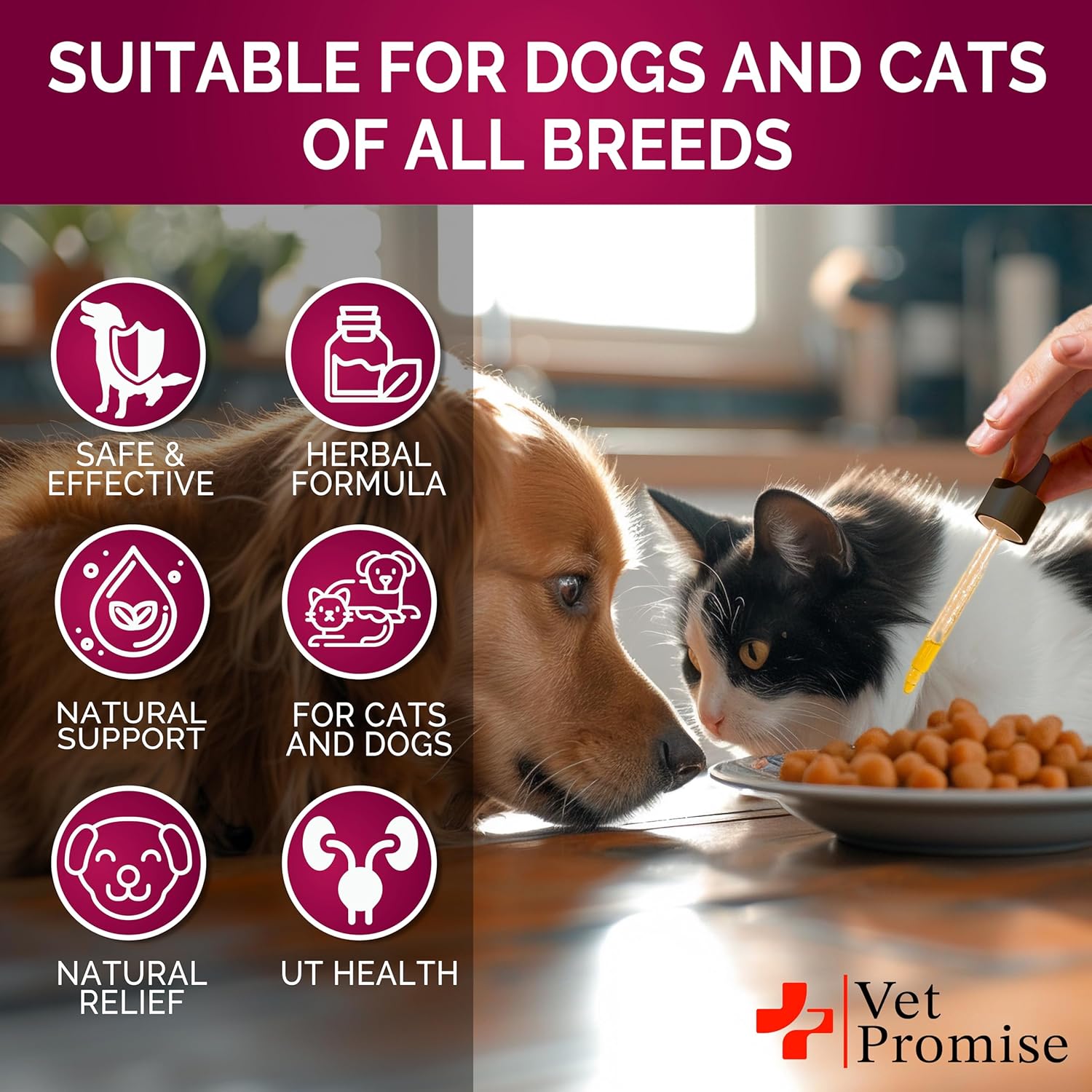 Veterinarian-Approved UTI Treatment for Cats & Dogs - Cranberry UTI Medicine - Kidney & Bladder Support - Renal Health Supplement - Made in USA