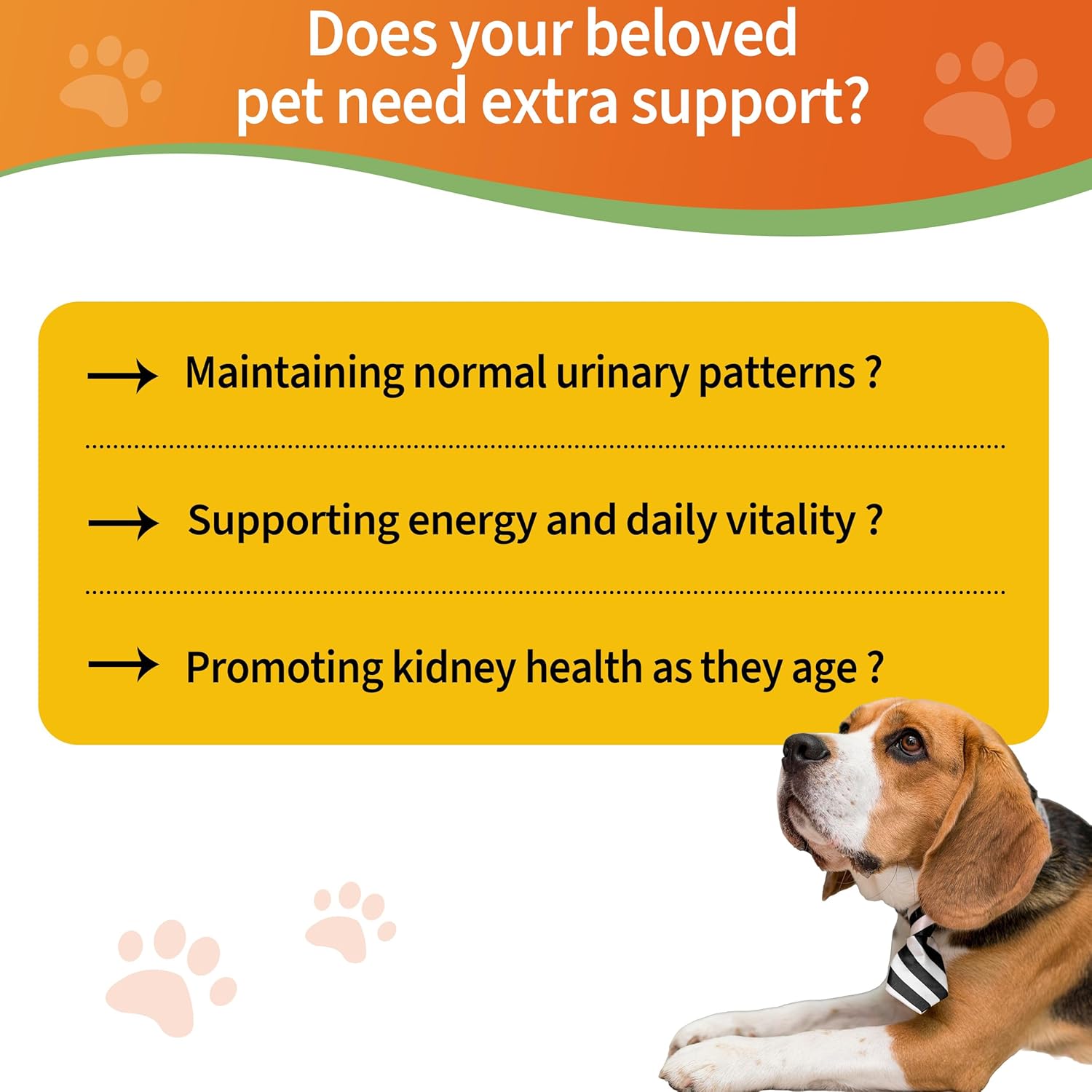 Veterinarian Formulated 6-in-1 Kidney Support Herbal Supplement for Dogs & Cats - Promotes Healthy Kidney Function, Energy Levels, and Fluid Balance - With Vitamin B2 & B6 - 2 fl oz