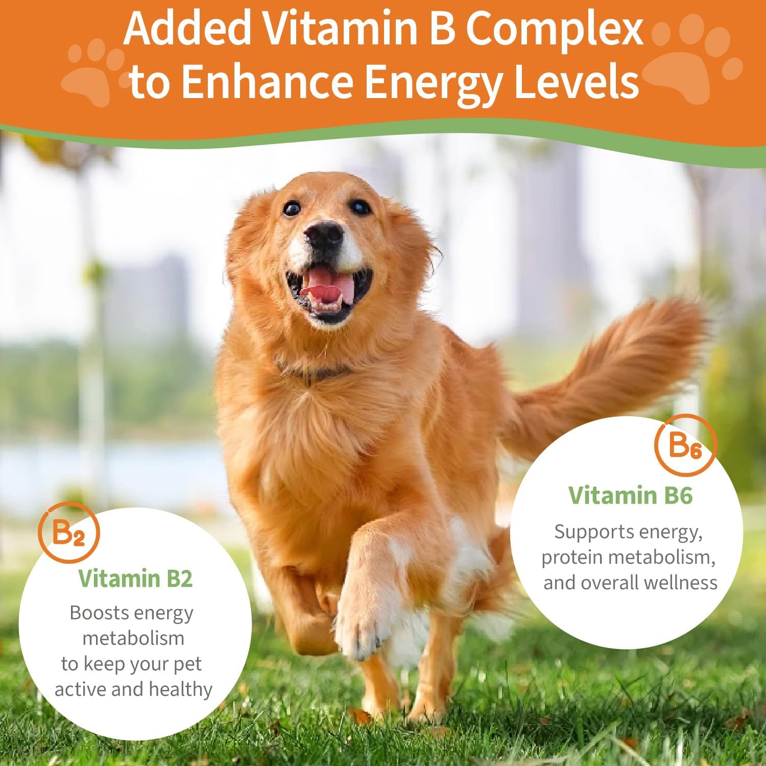 Veterinarian Formulated 6-in-1 Kidney Support Herbal Supplement for Dogs & Cats - Promotes Healthy Kidney Function, Energy Levels, and Fluid Balance - With Vitamin B2 & B6 - 2 fl oz