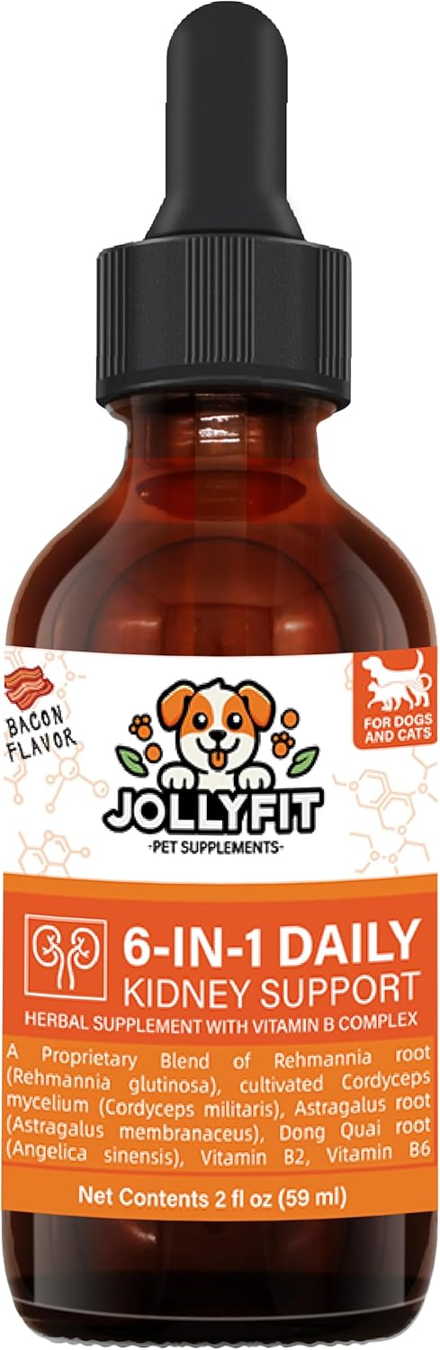 Veterinarian Formulated 6-in-1 Kidney Support Herbal Supplement for Dogs & Cats - Promotes Healthy Kidney Function, Energy Levels, and Fluid Balance - With Vitamin B2 & B6 - 2 fl oz