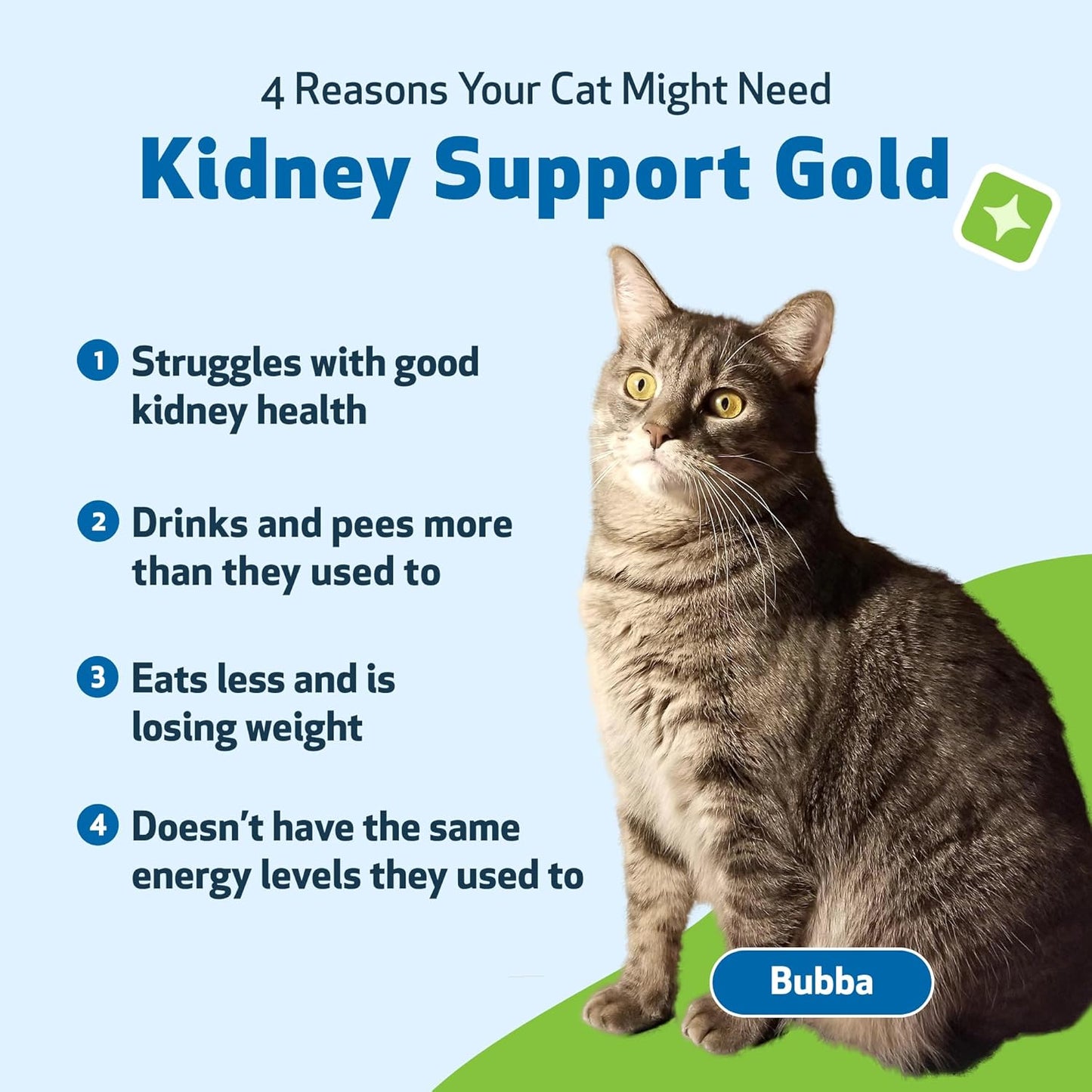 Veterinarian-Formulated Herbal Supplement for Cats - Promotes Healthy Kidney Function, Fluid Balance, Energy Levels - Rehmannia, Dong Quai - 2 oz (59 ml)