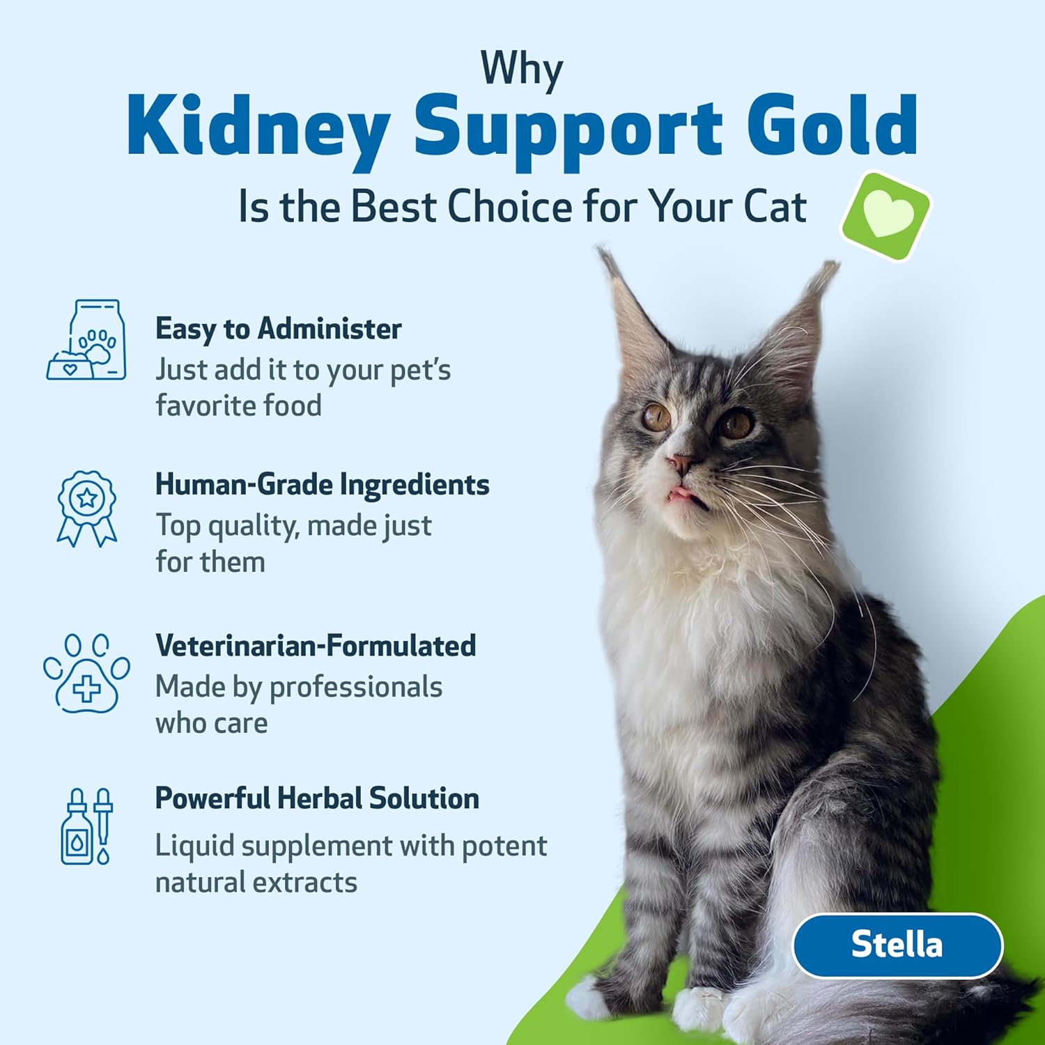 Veterinarian-Formulated Herbal Supplement for Cats - Promotes Healthy Kidney Function, Fluid Balance, Energy Levels - Rehmannia, Dong Quai - 2 oz (59 ml)