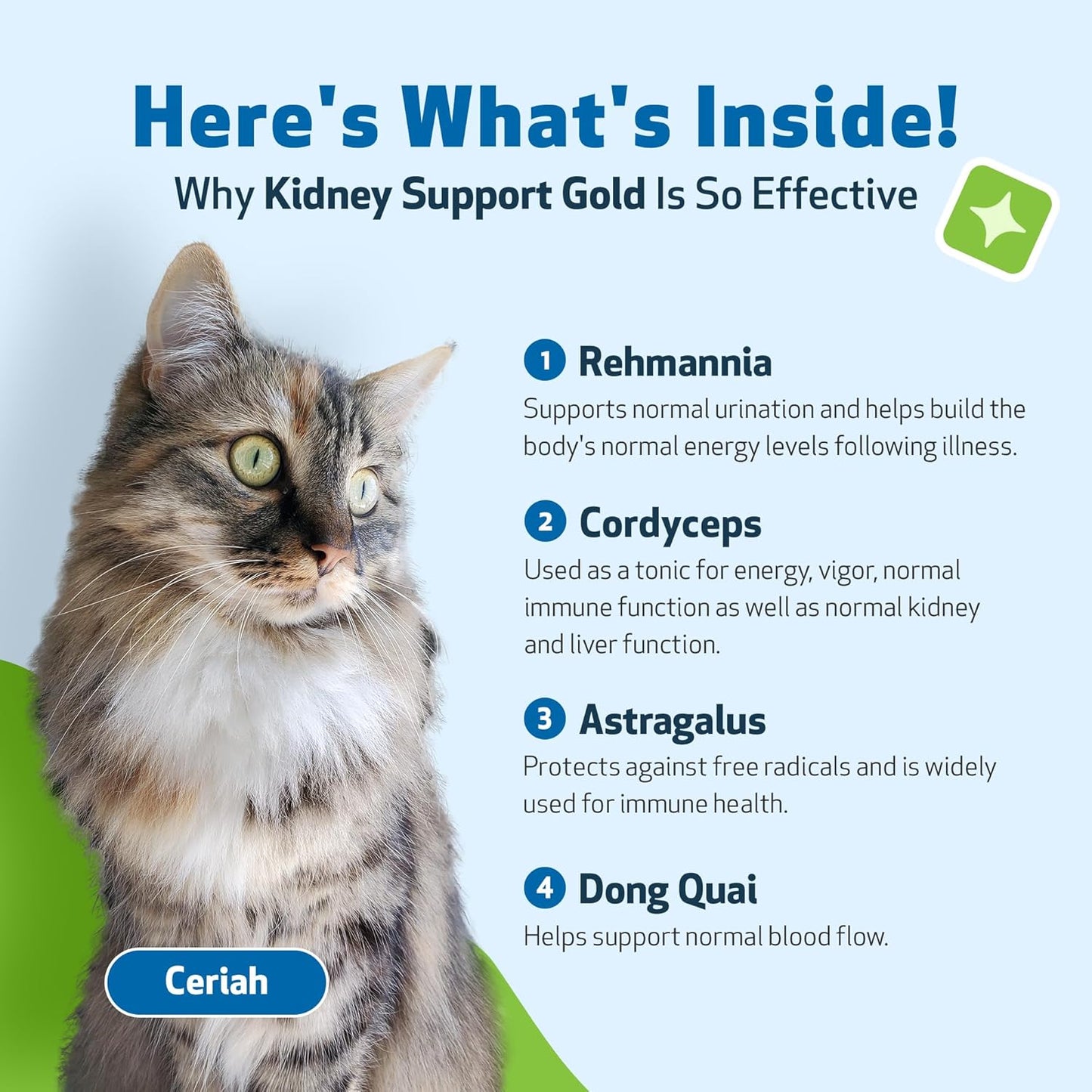 Veterinarian-Formulated Herbal Supplement for Cats - Promotes Healthy Kidney Function, Fluid Balance, Energy Levels - Rehmannia, Dong Quai - 2 oz (59 ml)