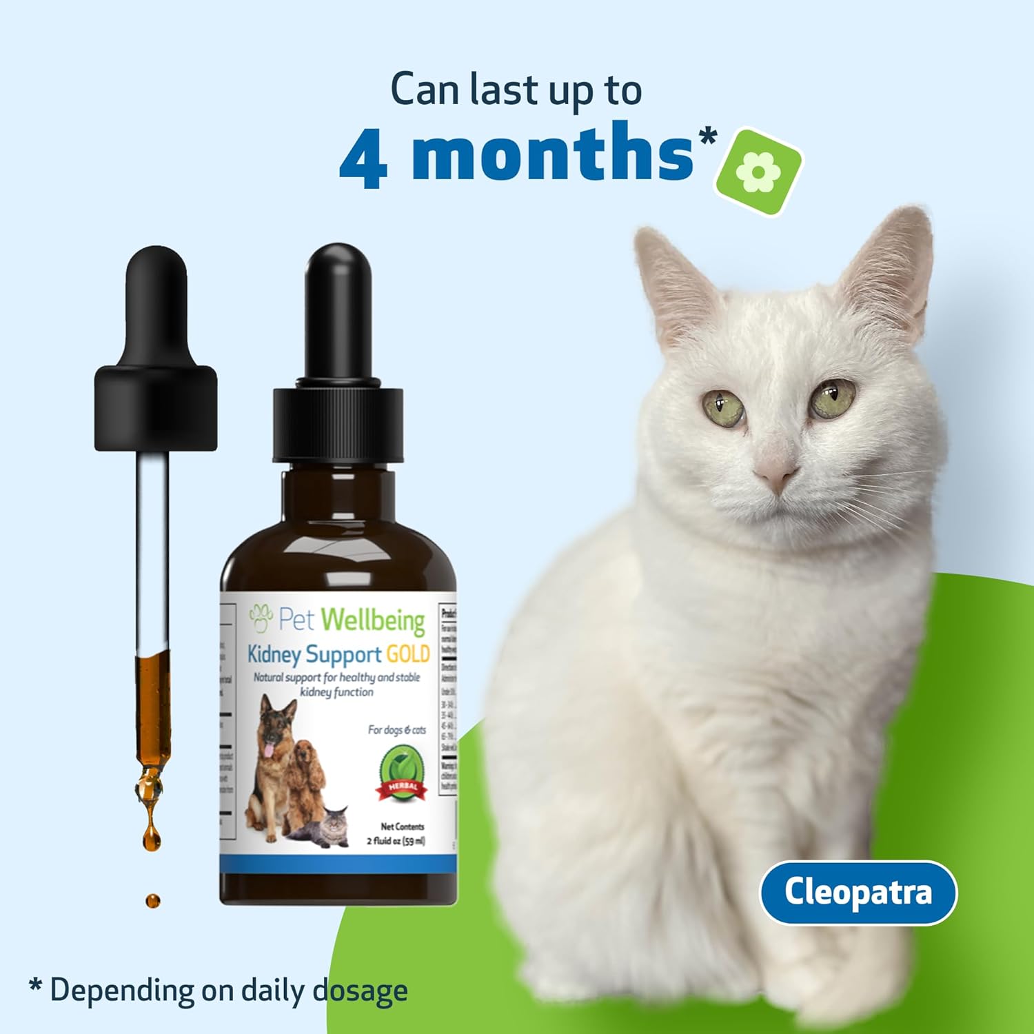 Veterinarian-Formulated Herbal Supplement for Cats - Promotes Healthy Kidney Function, Fluid Balance, Energy Levels - Rehmannia, Dong Quai - 2 oz (59 ml)