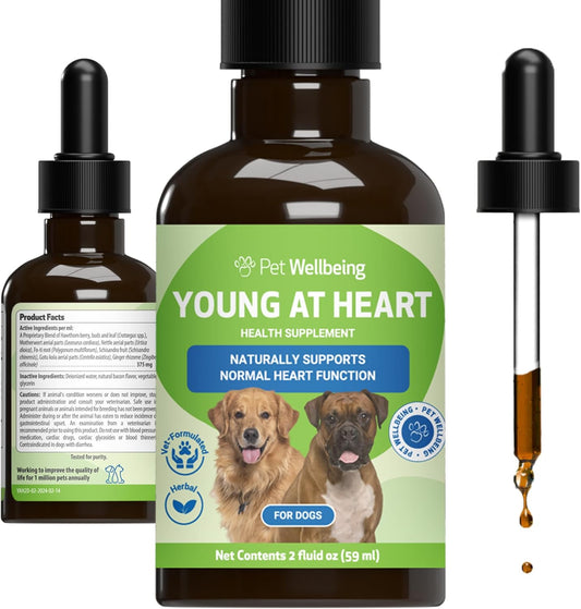 Veterinarian-Formulated Herbal Supplement for Dog Heart Health - Hawthorn, Motherwort, Schisandra - 2 fl oz