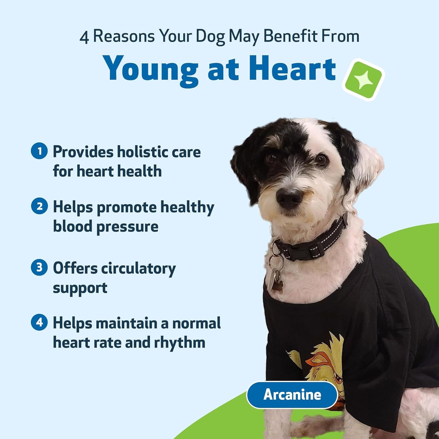 Veterinarian-Formulated Herbal Supplement for Dog Heart Health - Hawthorn, Motherwort, Schisandra - 2 fl oz