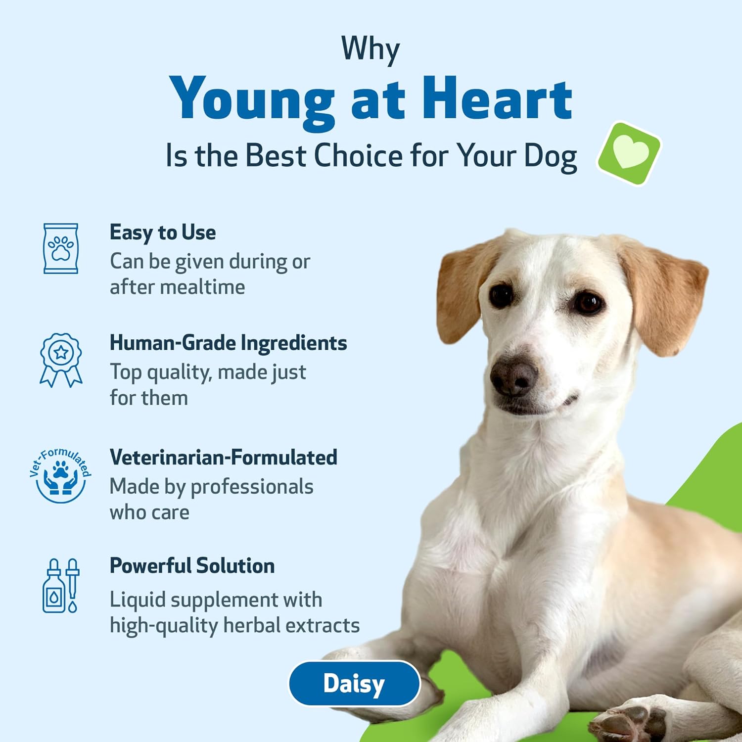 Veterinarian-Formulated Herbal Supplement for Dog Heart Health - Hawthorn, Motherwort, Schisandra - 2 fl oz