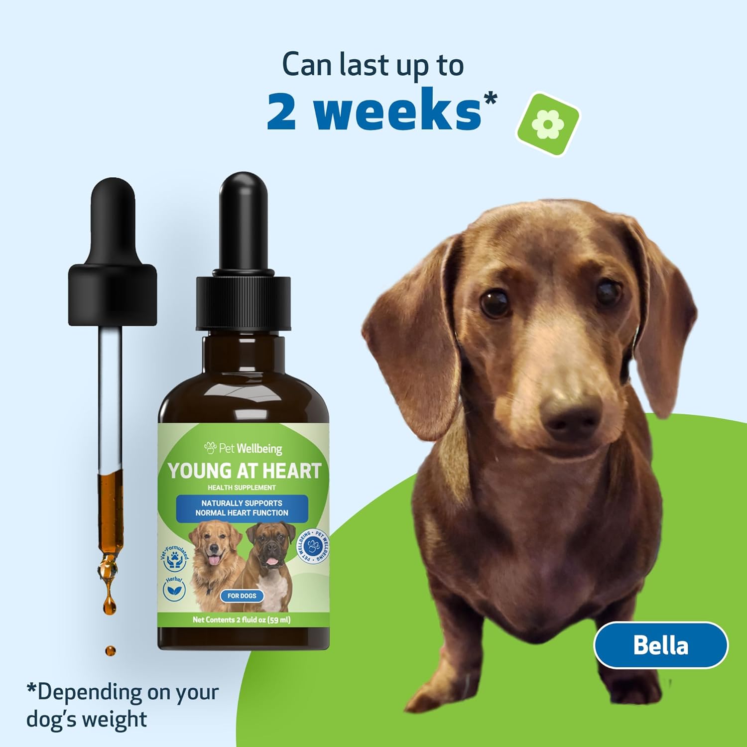 Veterinarian-Formulated Herbal Supplement for Dog Heart Health - Hawthorn, Motherwort, Schisandra - 2 fl oz