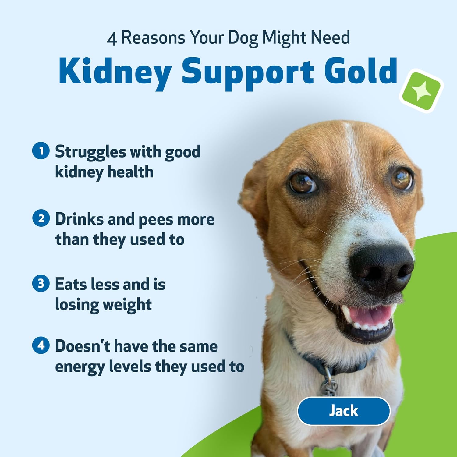 Veterinarian-Formulated Herbal Supplement for Dogs - Supports Healthy Kidney Function, Fluid Balance, Energy Levels, and Appetite - Pet Wellbeing Kidney Support Gold - 2 oz