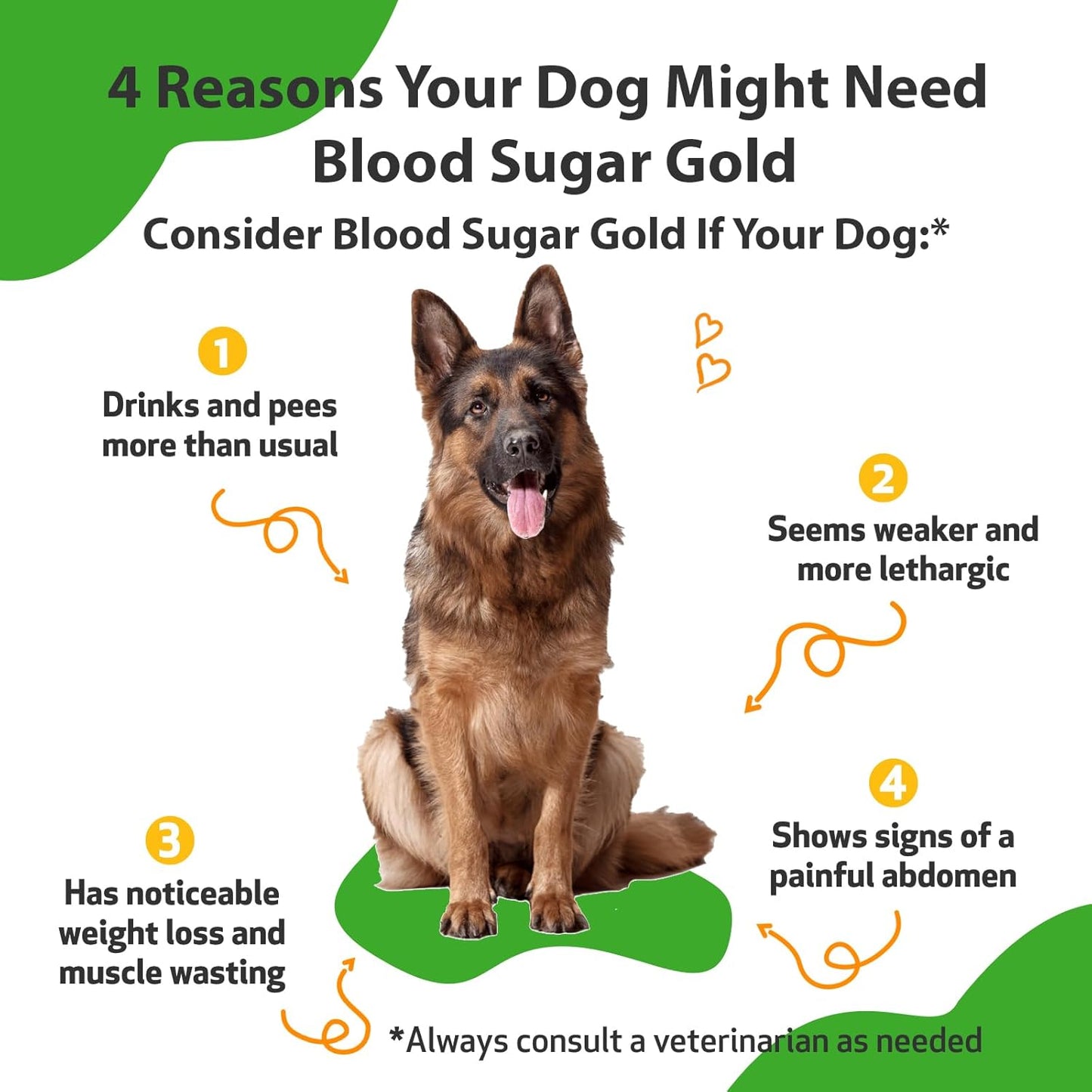 Veterinarian-Formulated Herbal Supplement for Dogs - Supports Healthy Blood Sugar Levels, Pancreas & Liver Function - 2 oz