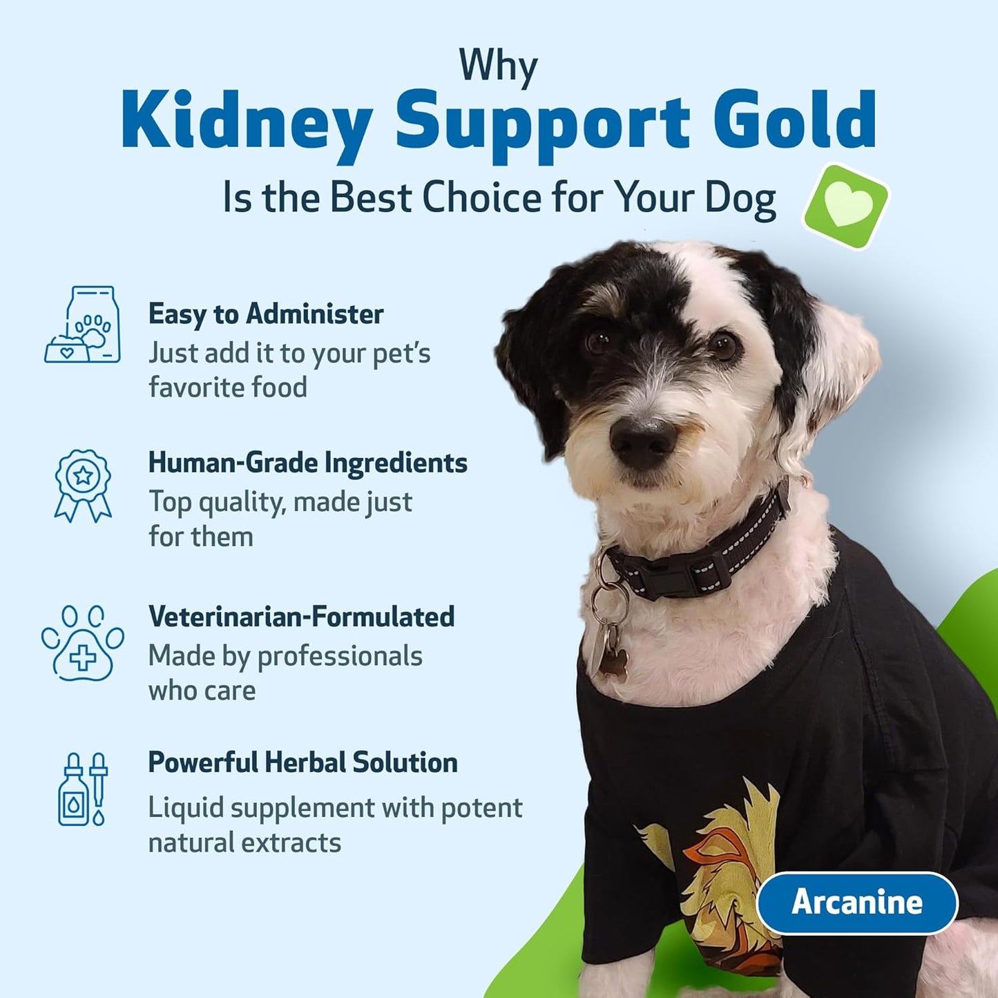 Veterinarian-Formulated Herbal Supplement for Dogs - Supports Healthy Kidney Function, Fluid Balance, Energy Levels, and Appetite - Pet Wellbeing Kidney Support Gold - 2 oz