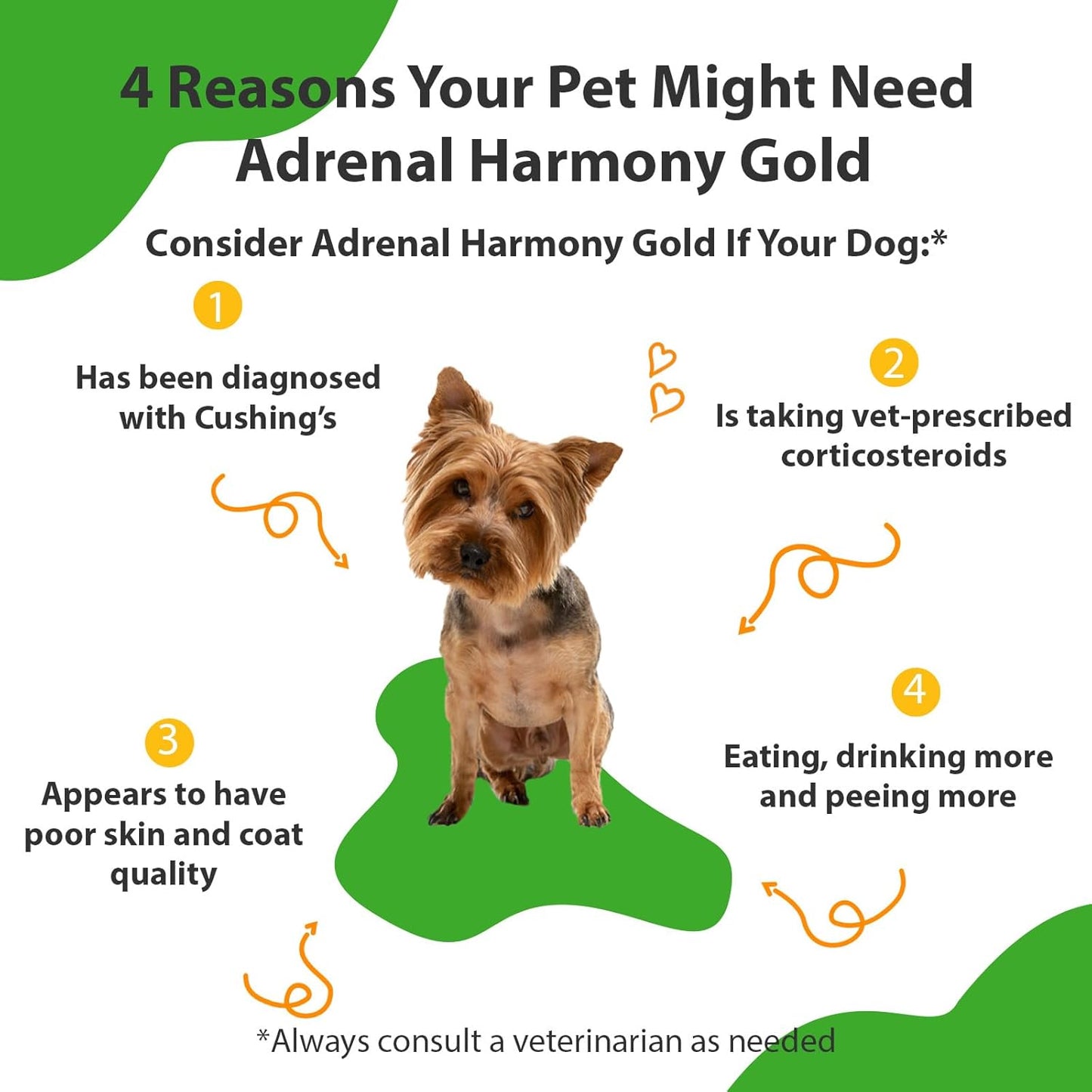 Veterinarian-Formulated Herbal Supplement for Pet Adrenal Health - Supports Cortisol Balance, Adrenal Gland Function, Skin & Weight - Contains Ashwagandha - 4 oz