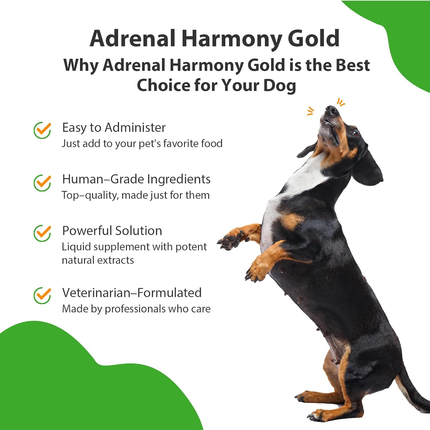 Veterinarian-Formulated Herbal Supplement for Pet Adrenal Health - Supports Cortisol Balance, Adrenal Gland Function, Skin & Weight - Contains Ashwagandha - 4 oz