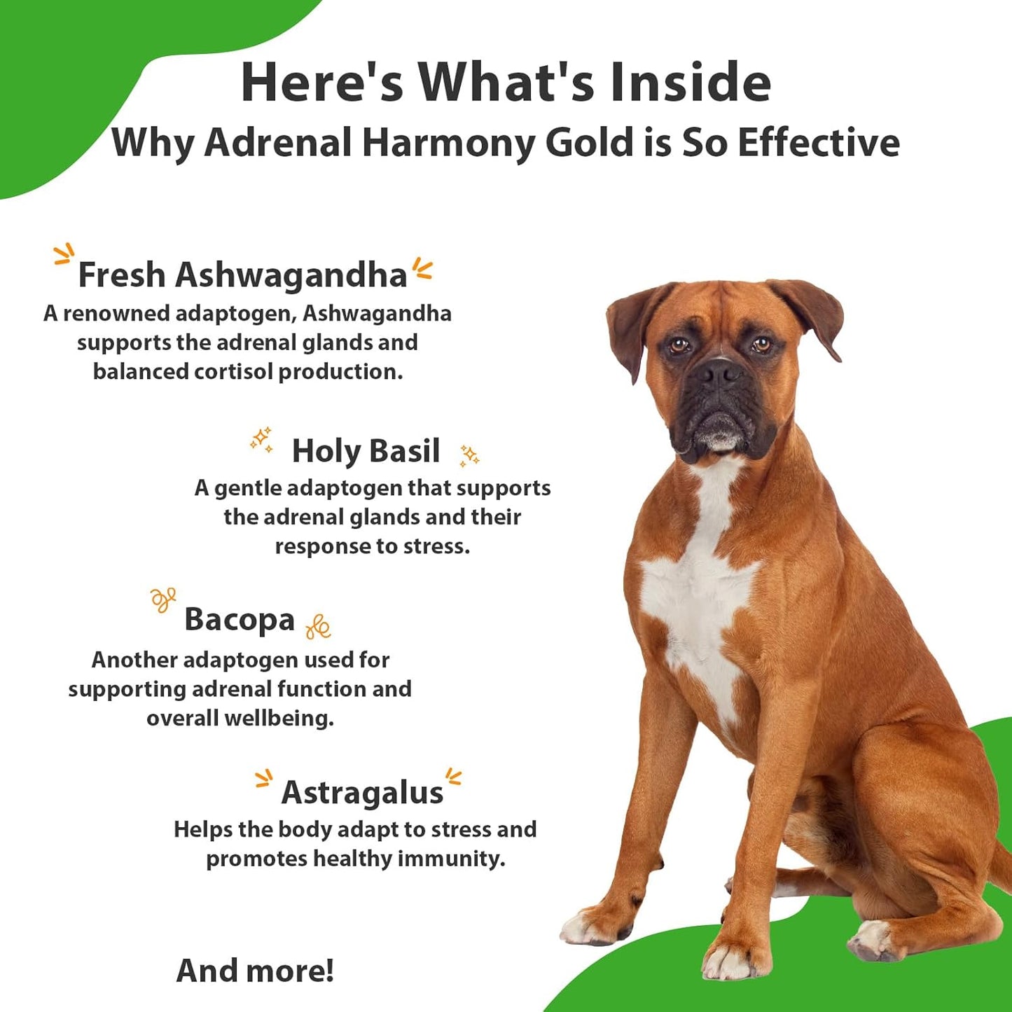Veterinarian-Formulated Herbal Supplement for Pet Adrenal Health - Supports Cortisol Balance, Adrenal Gland Function, Skin & Weight - Contains Ashwagandha - 4 oz