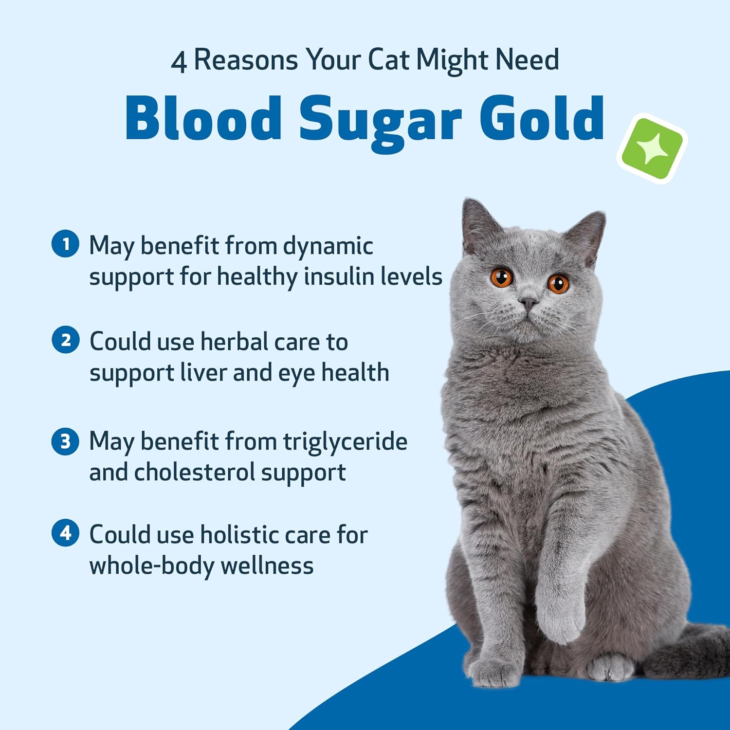 Veterinarian-Formulated Pet Wellbeing Blood Sugar Gold for Cats - Supports Healthy Blood Sugar, Pancreas, & Liver - Herbal Supplement - 4 oz