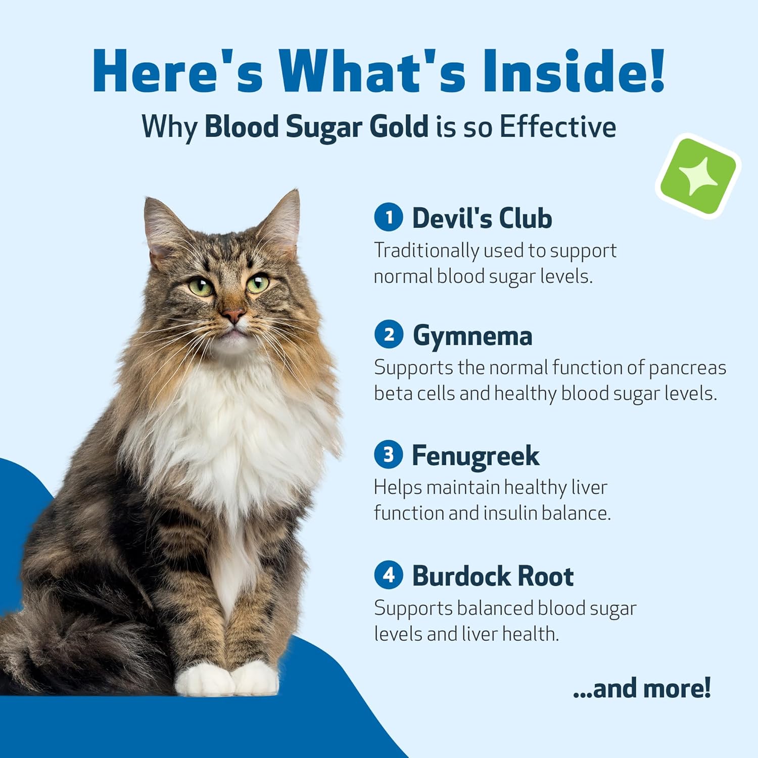 Veterinarian-Formulated Pet Wellbeing Blood Sugar Gold for Cats - Supports Healthy Blood Sugar, Pancreas, & Liver - Herbal Supplement - 4 oz