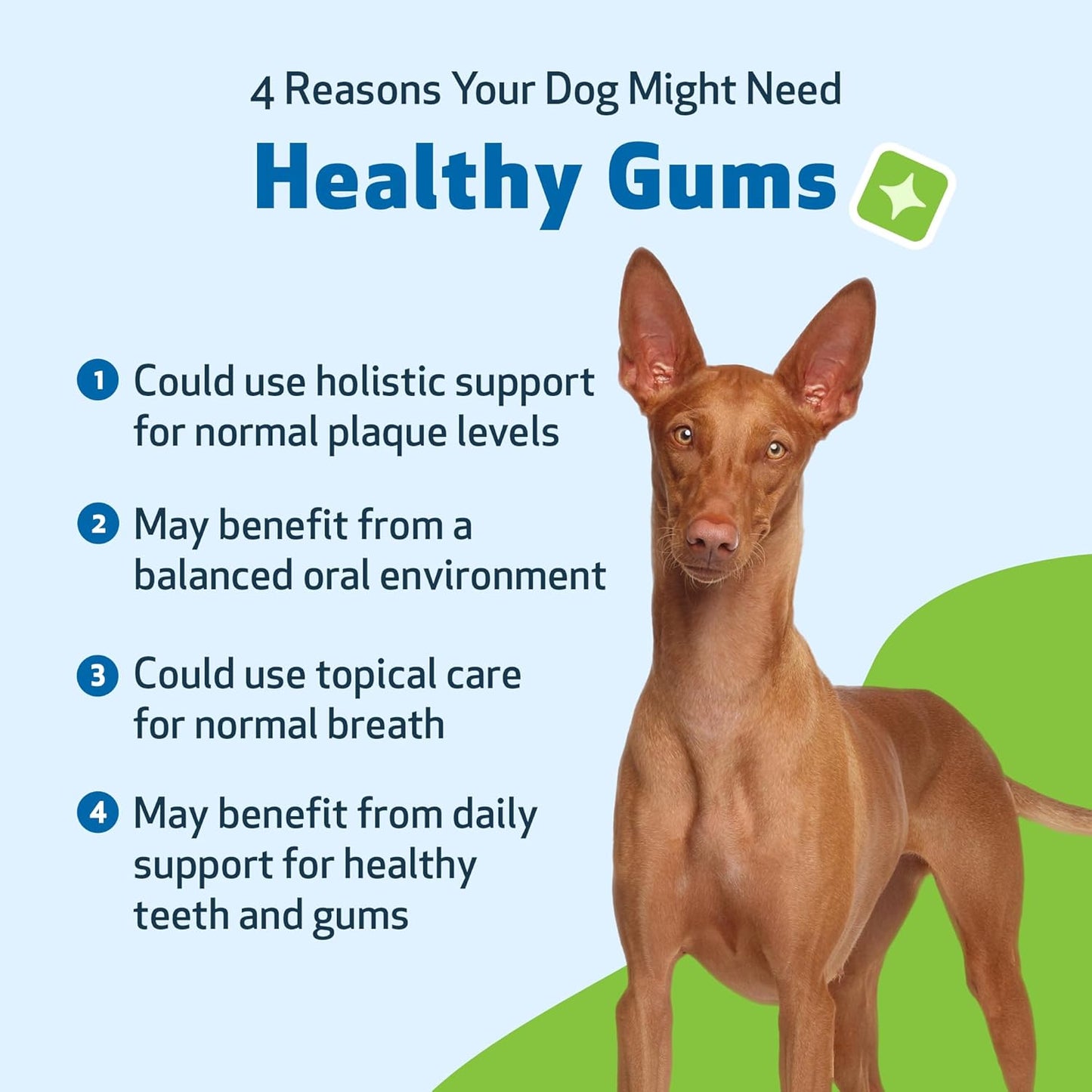 Veterinarian-Formulated Pet Wellbeing Healthy Gums for Dogs - Dental Health & Oral Care, Coenzyme Q10, Zinc Oxide, Calendula, Marshmallow Root - 4 oz
