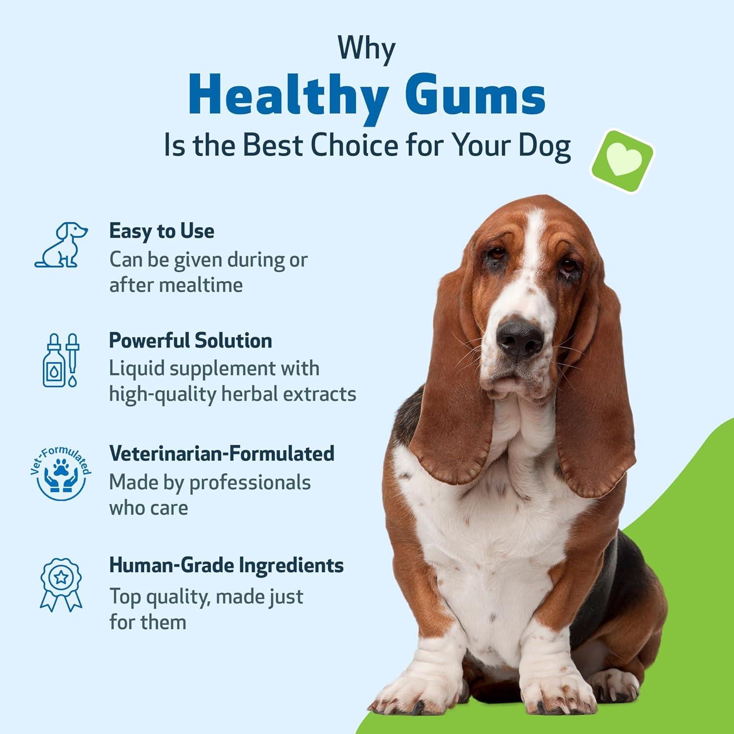 Veterinarian-Formulated Pet Wellbeing Healthy Gums for Dogs - Dental Health & Oral Care, Coenzyme Q10, Zinc Oxide, Calendula, Marshmallow Root - 4 oz